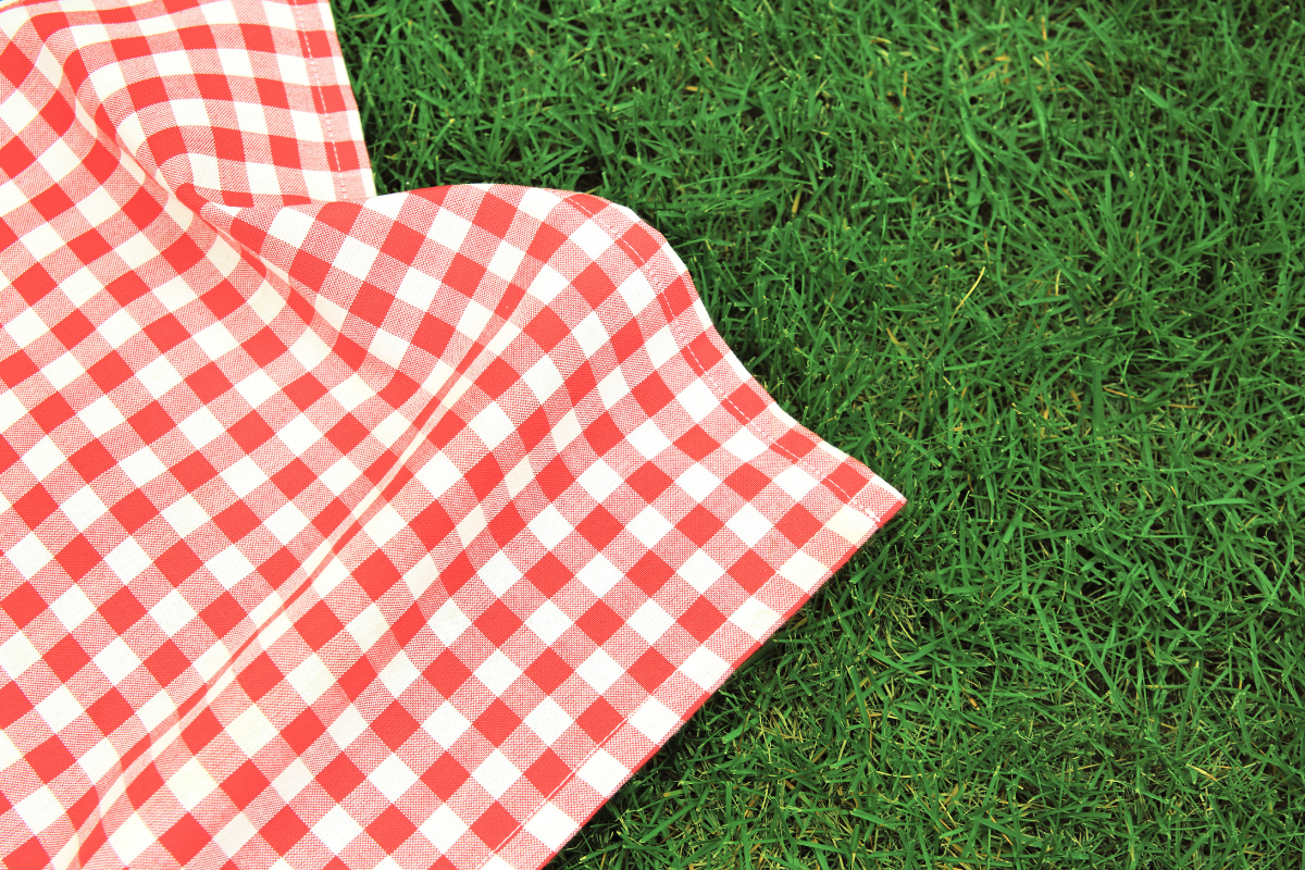 Summer Picnic