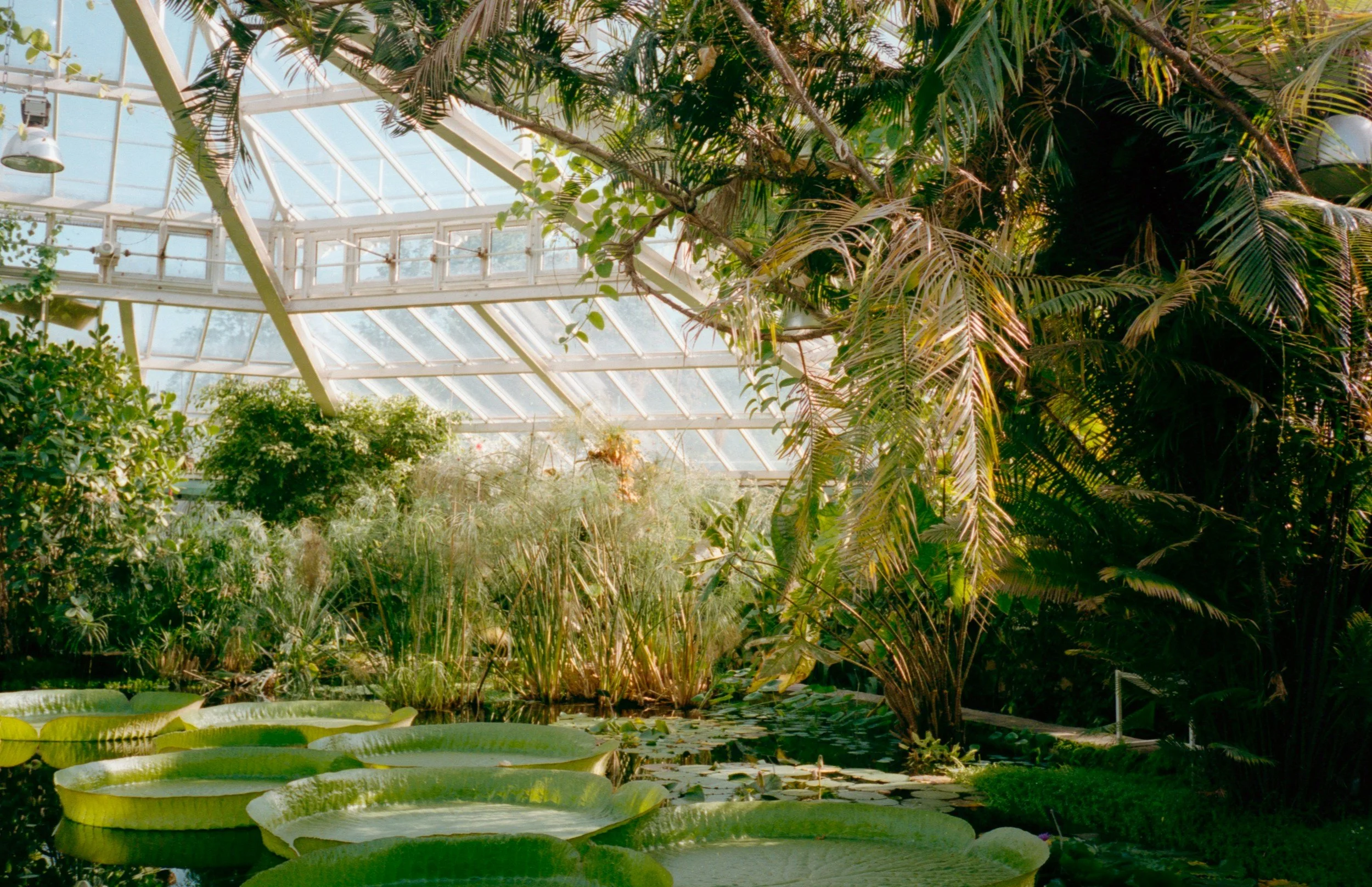Phipps Conservatory Trip: Alice in Wonderland Exhibit!