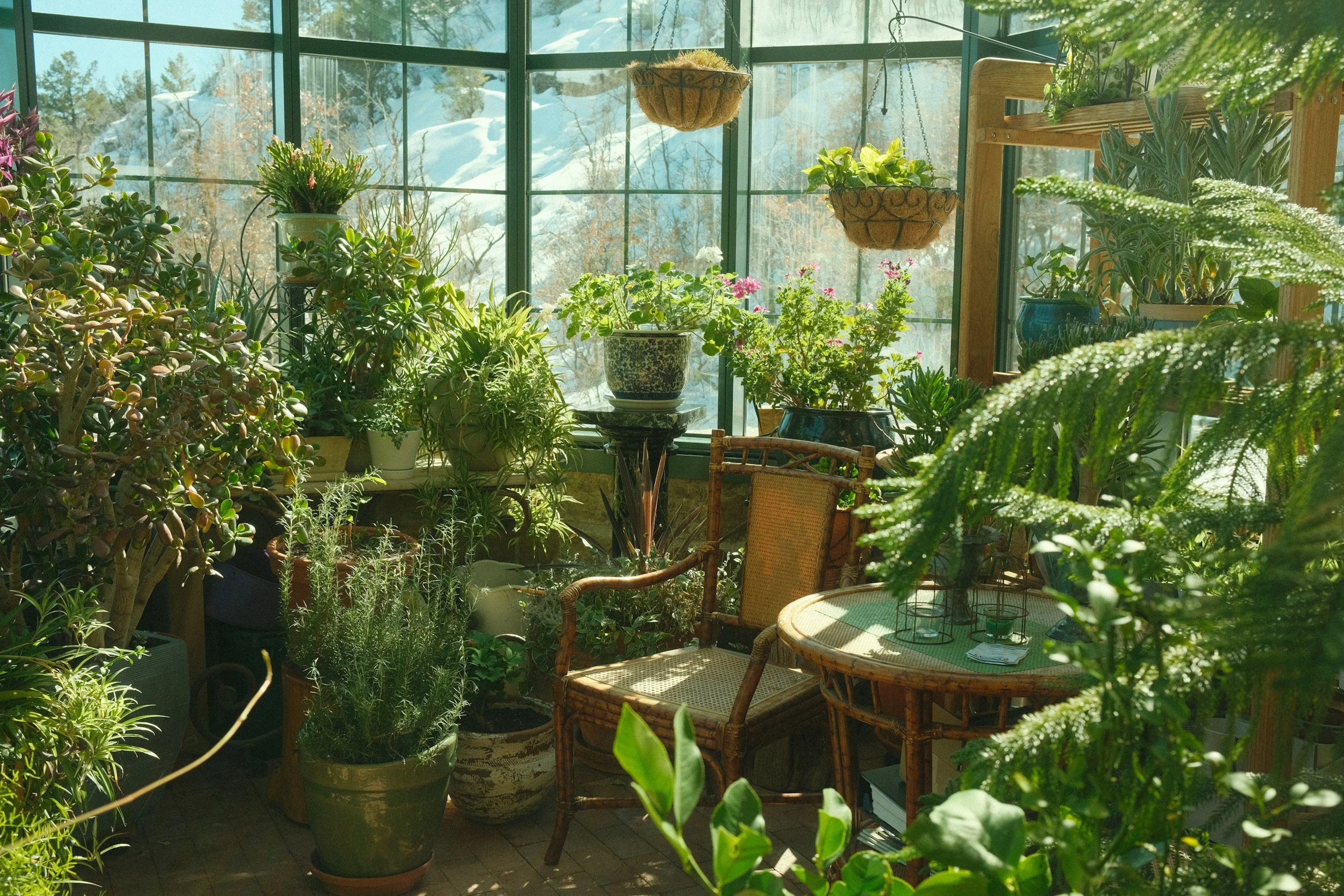 Annual Plant Swap