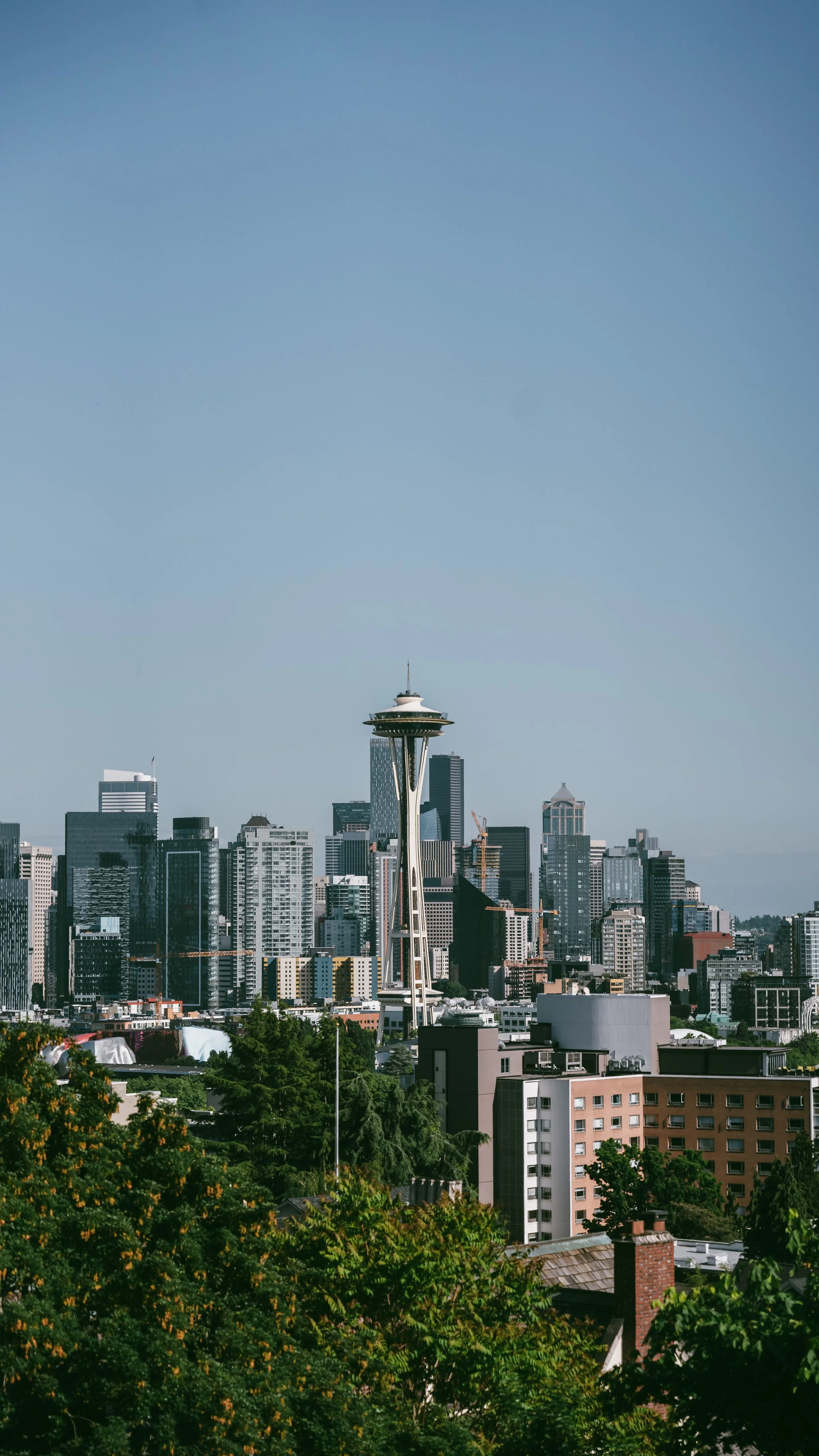 The Seattle skyline with the Space Needle prominently in the center, surrounded by tall skyscrapers and buildings, with green trees in the foreground and a clear blue sky overhead.