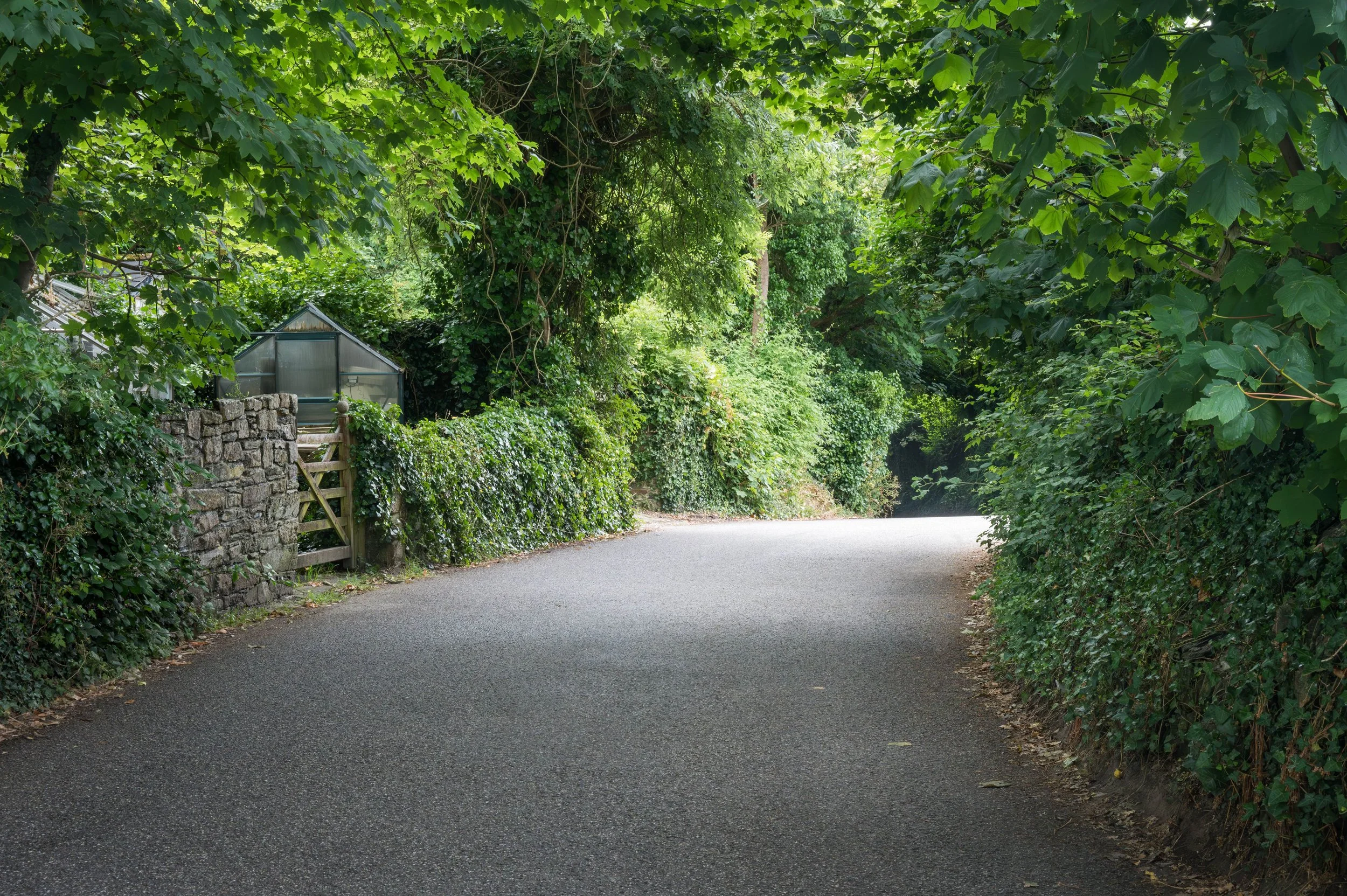 'An English Country Lane'