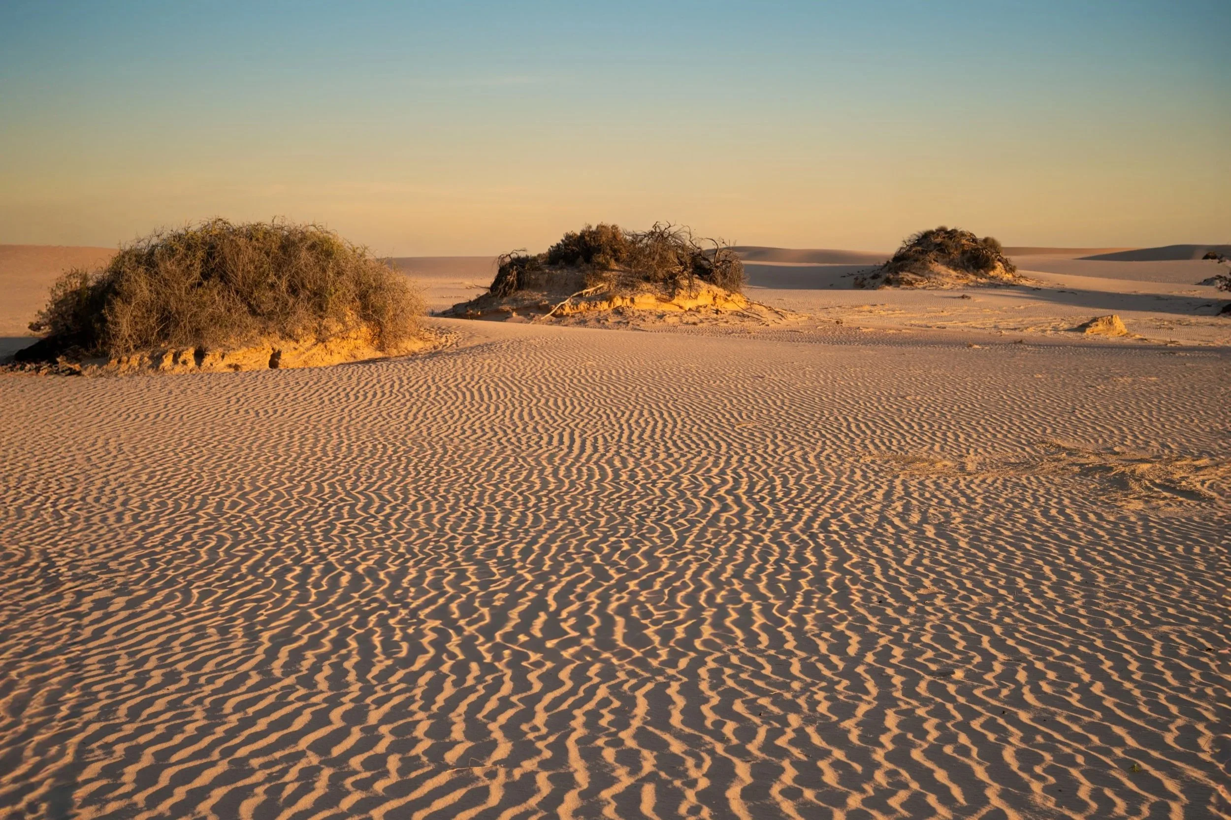 'Etched Imprints' The golden evening glow casts shadows in the shifting sand at Mungo NP, New South Wales, Australia