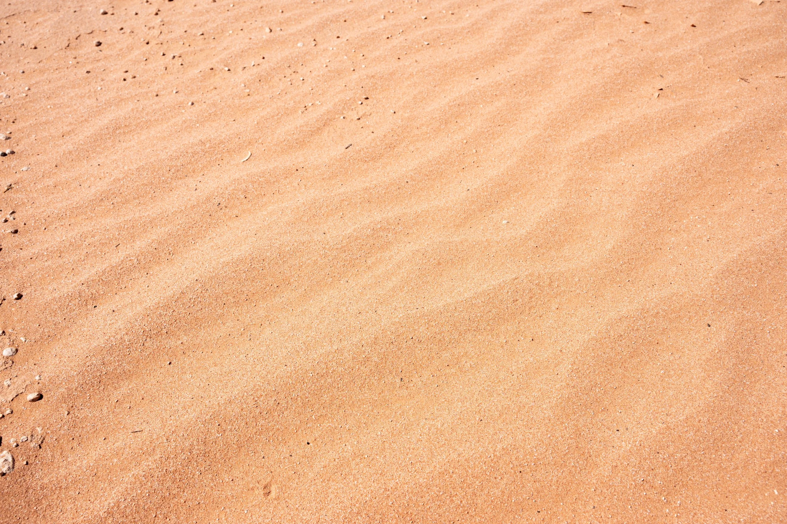 'Shadows and Sand' Where the changing wind and light reshape the desert landscape.