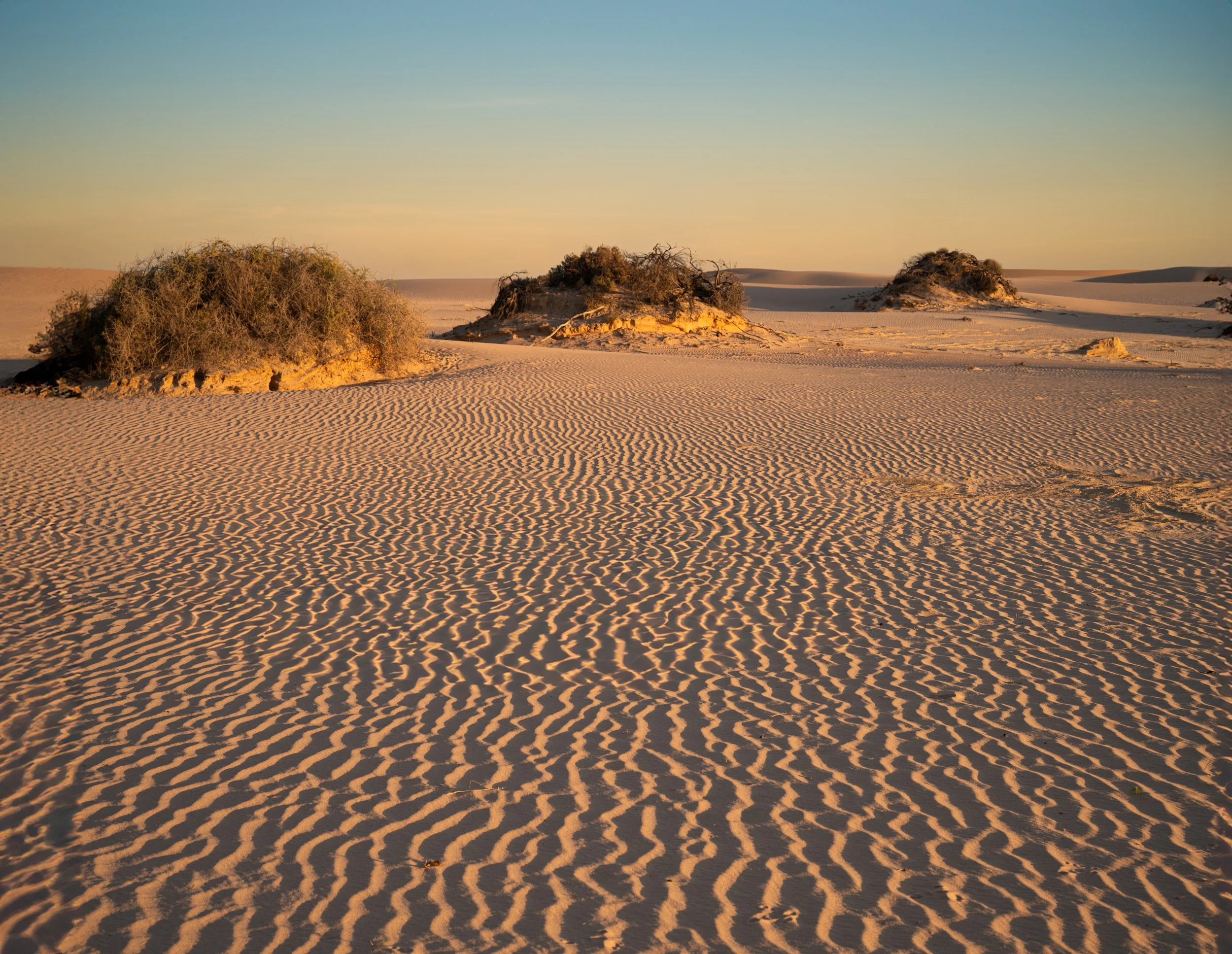 'Evening Glow at Mungo NP' Shifting shadows on the desert sand reveal changing patterns of light and shade. New South Wales, Australia 