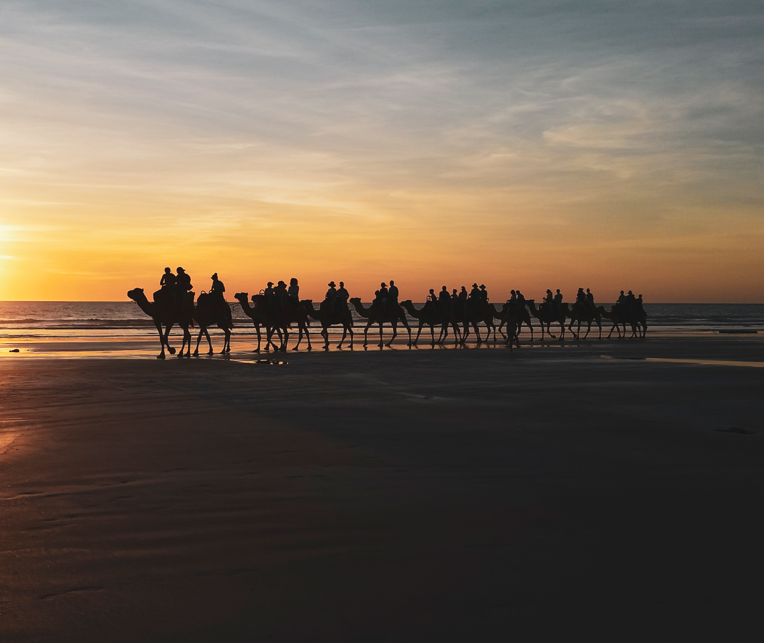'Camels on Cable Beach' Broome, Western Australia