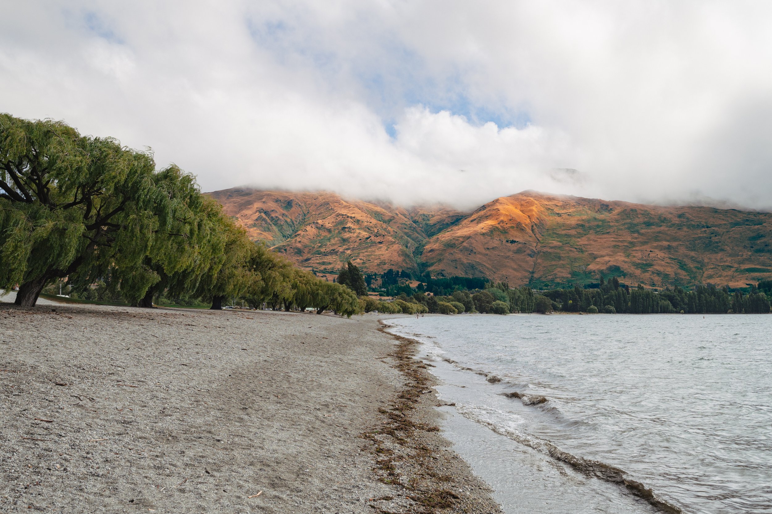 'Nature's Stillness' Lake Wanaka, South Island New Zealand.
