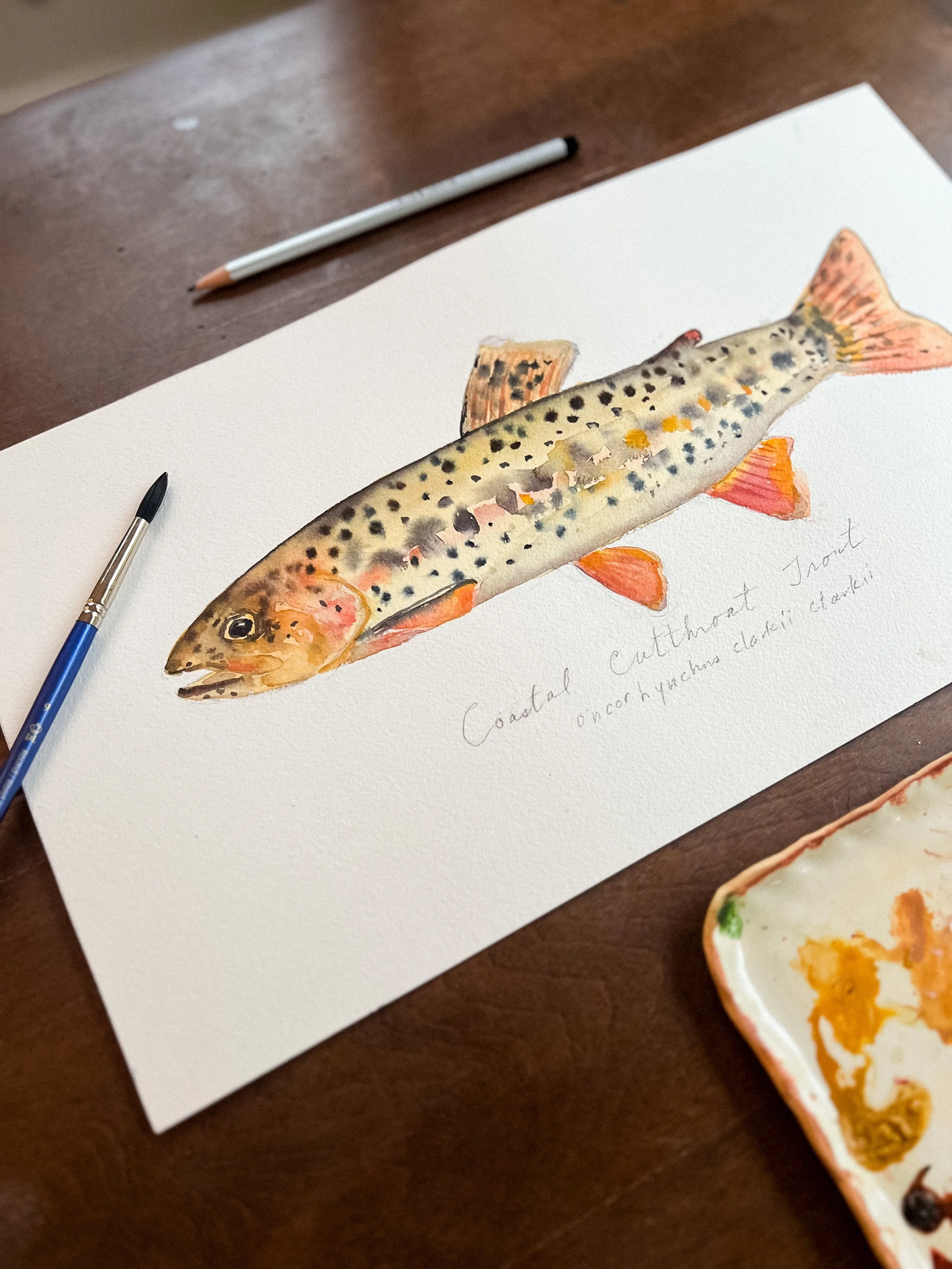 Watercolor Fish Workshop