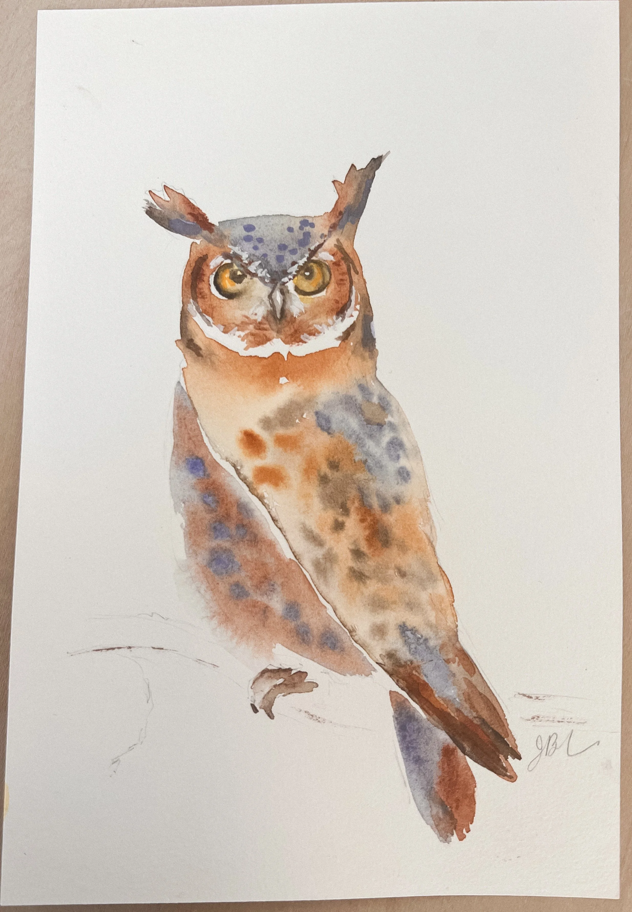 Watercolor Owls