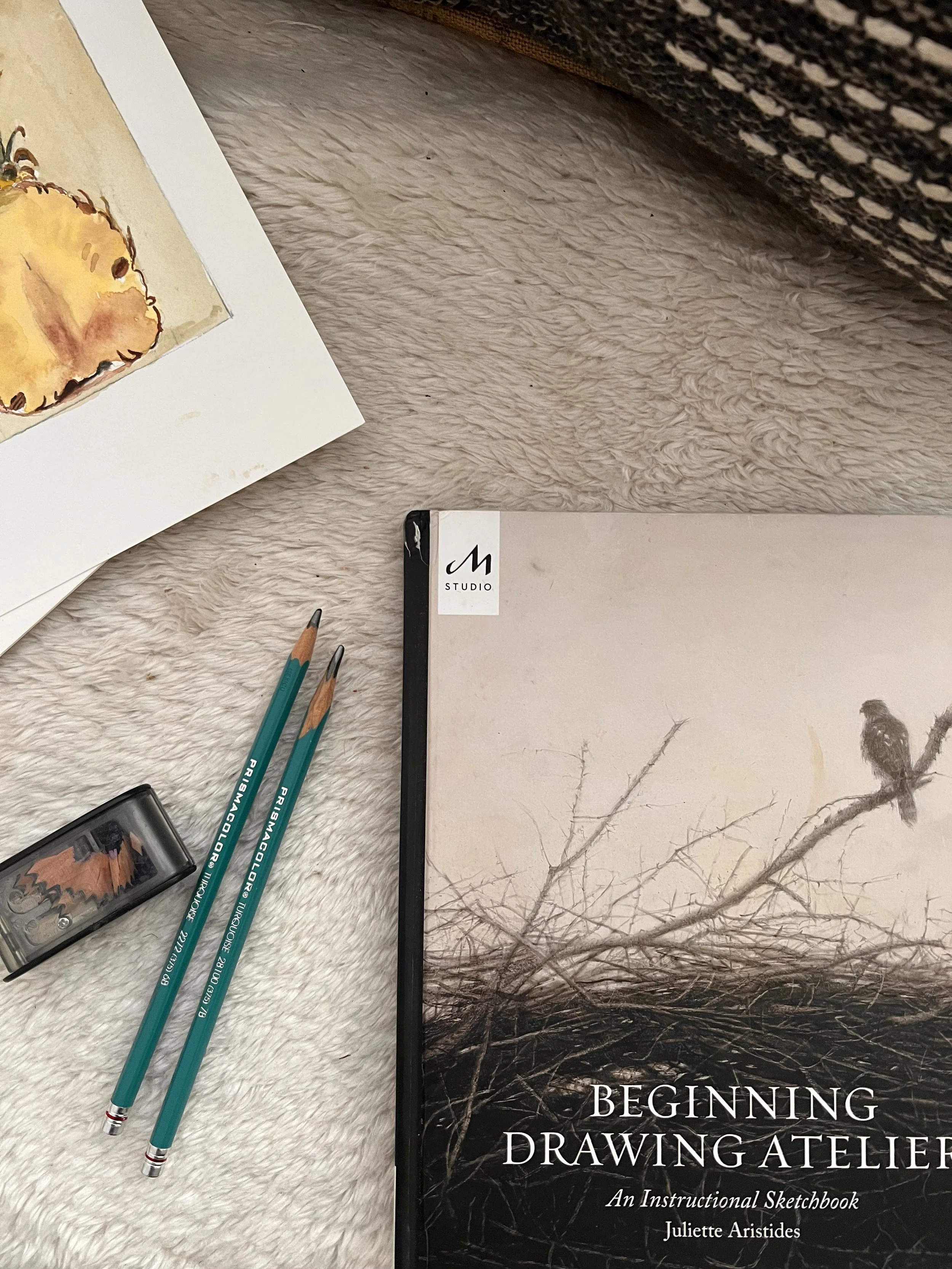 Drawing Book Club  (6 weeks)
