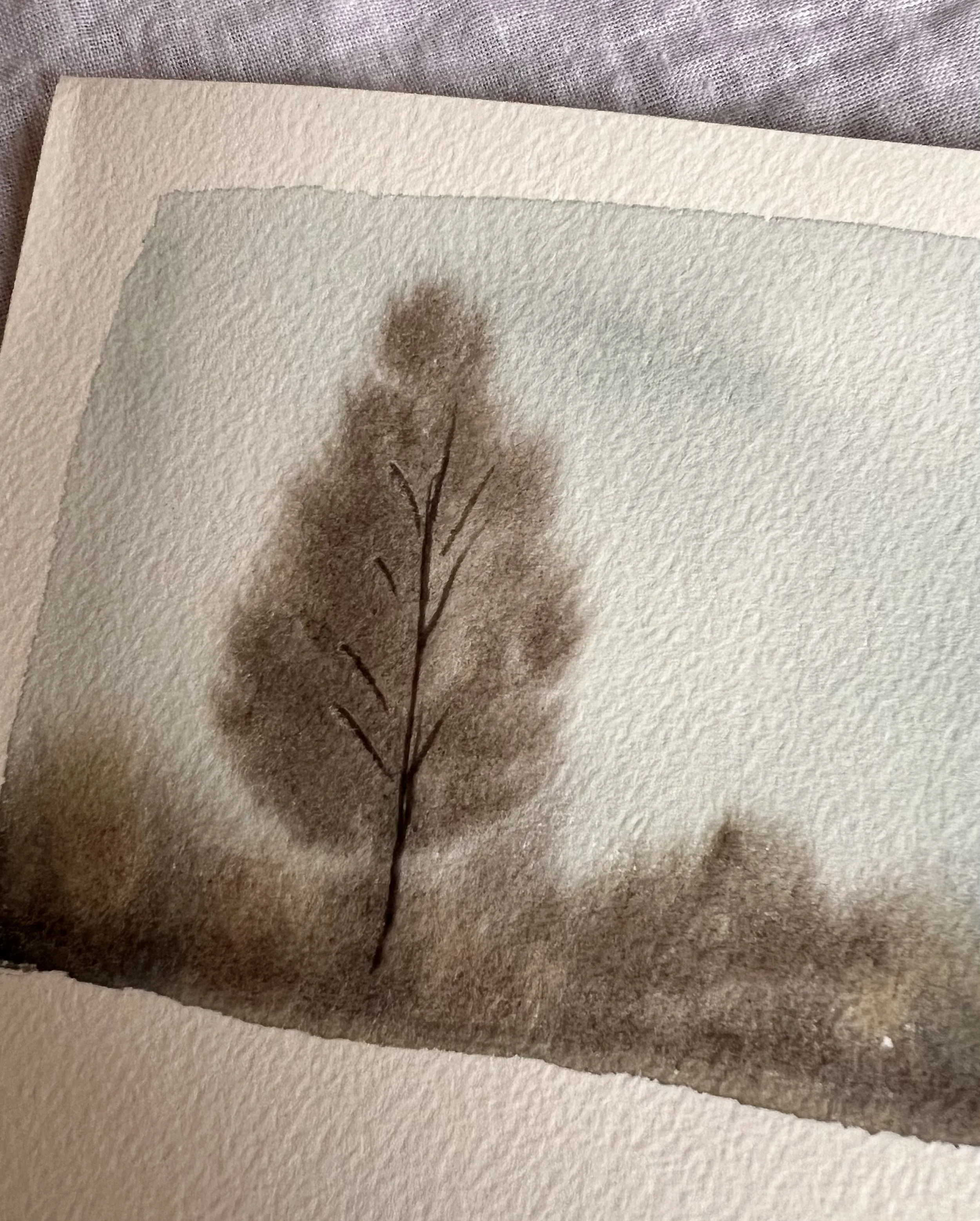 IMG_1586.jpeg (Copy)