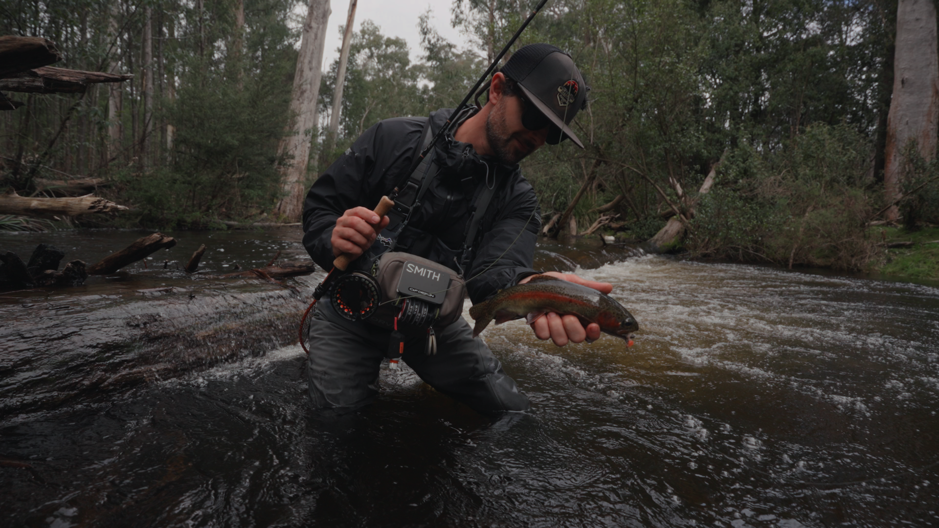 Trout 3.png