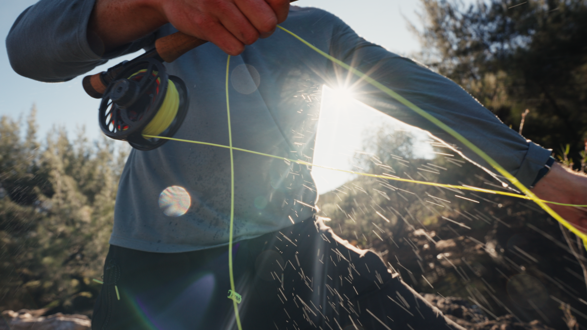 Cod on Fly_Long FormatStill006.png