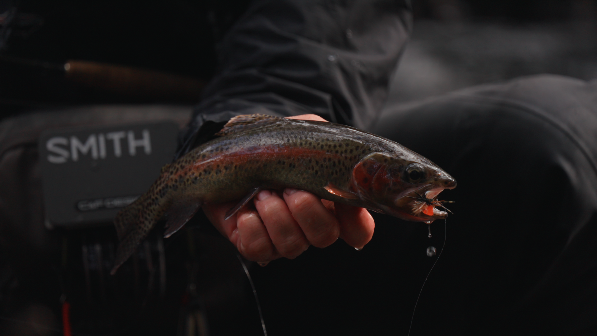 Trout Frame.png