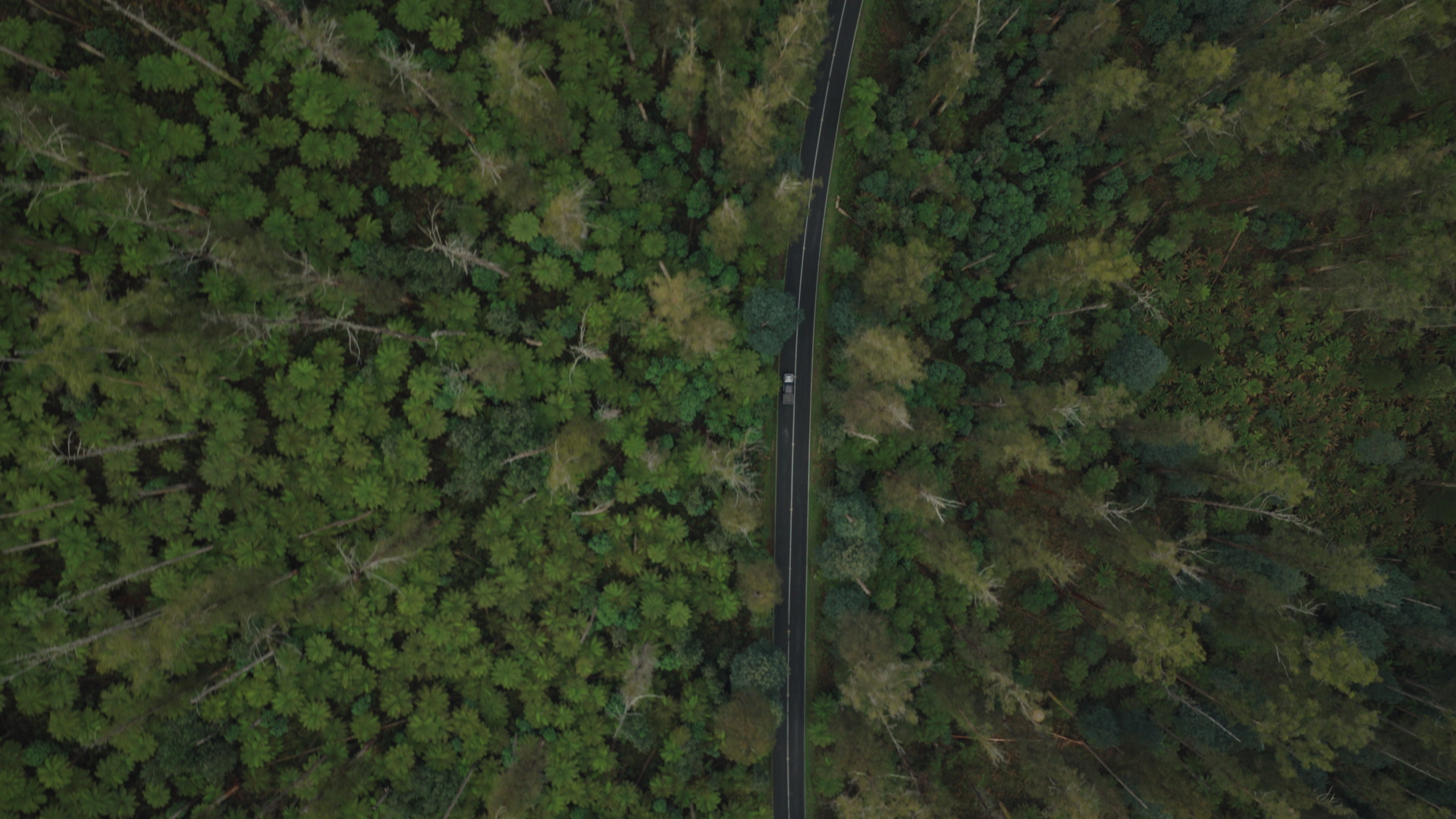 Wilderness Drone.png