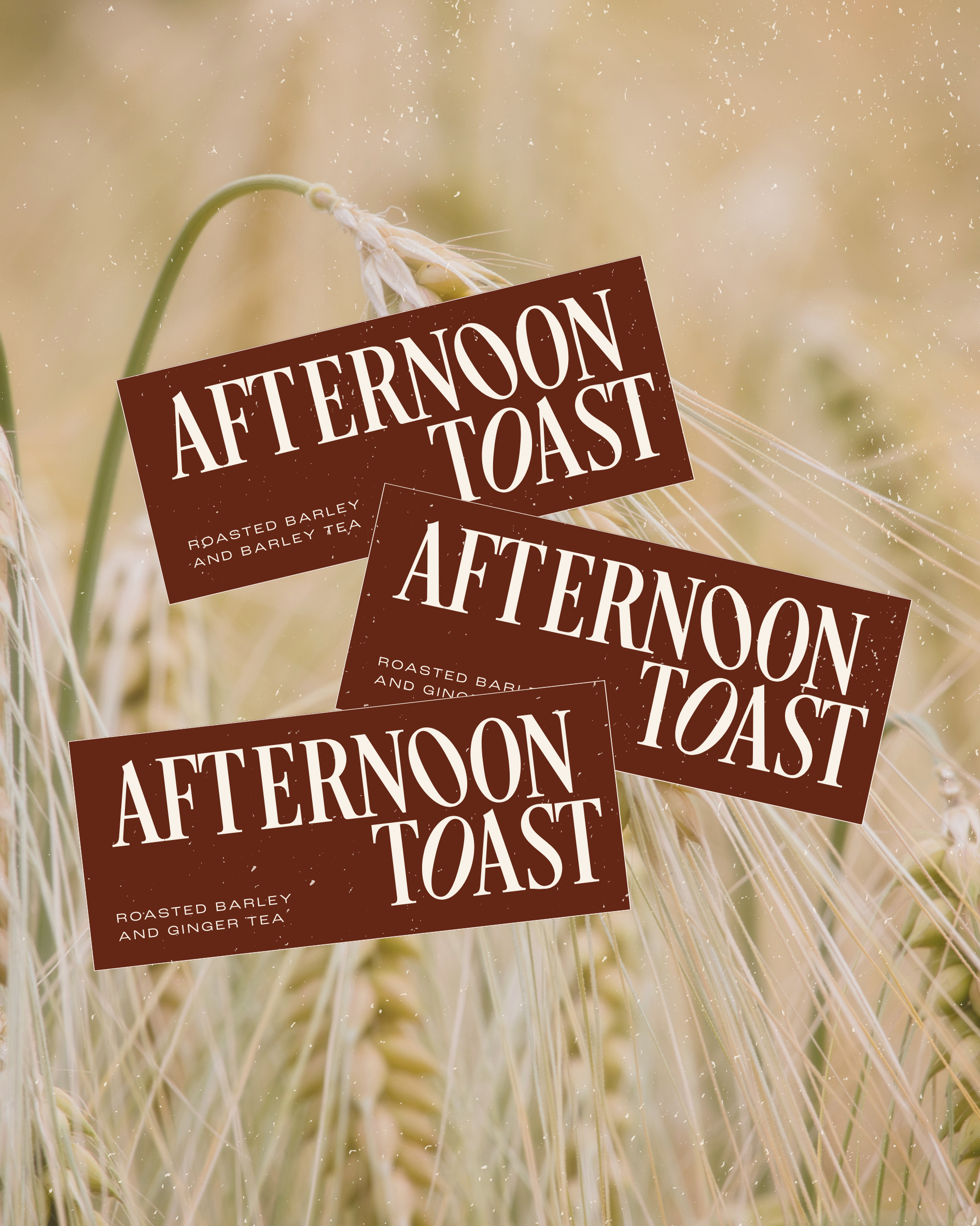 logo mockup.png