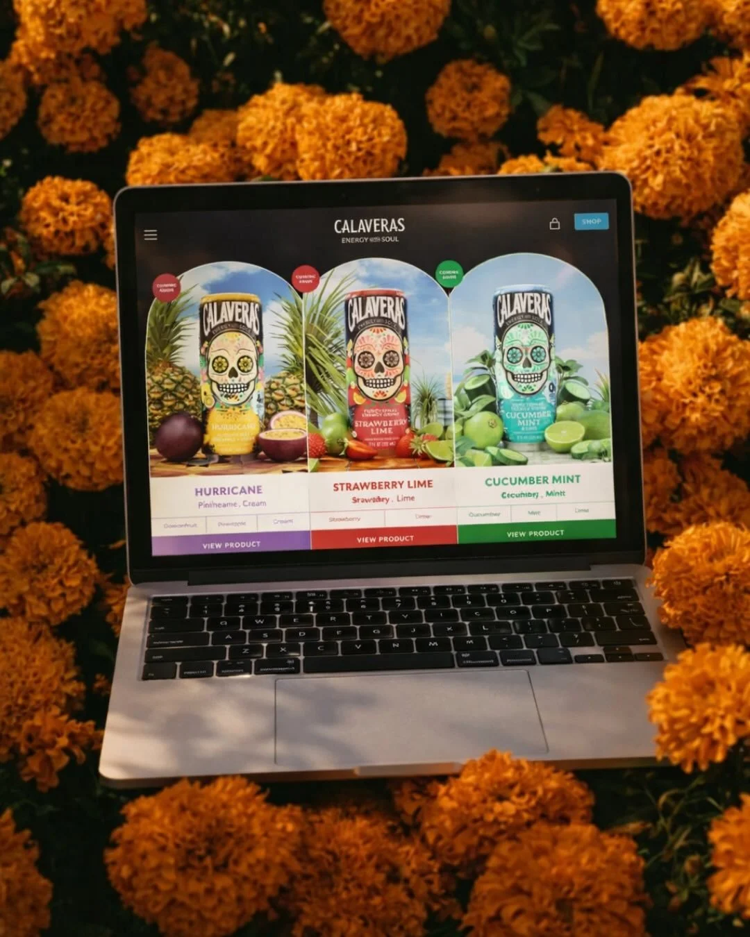 ✨@calaverasenergy website + waitlist are officially live!!

nostalgic latin flavors with clean energy ingredients just feels like the category finally caught up.

👉👉 check out calaverasenergy.com