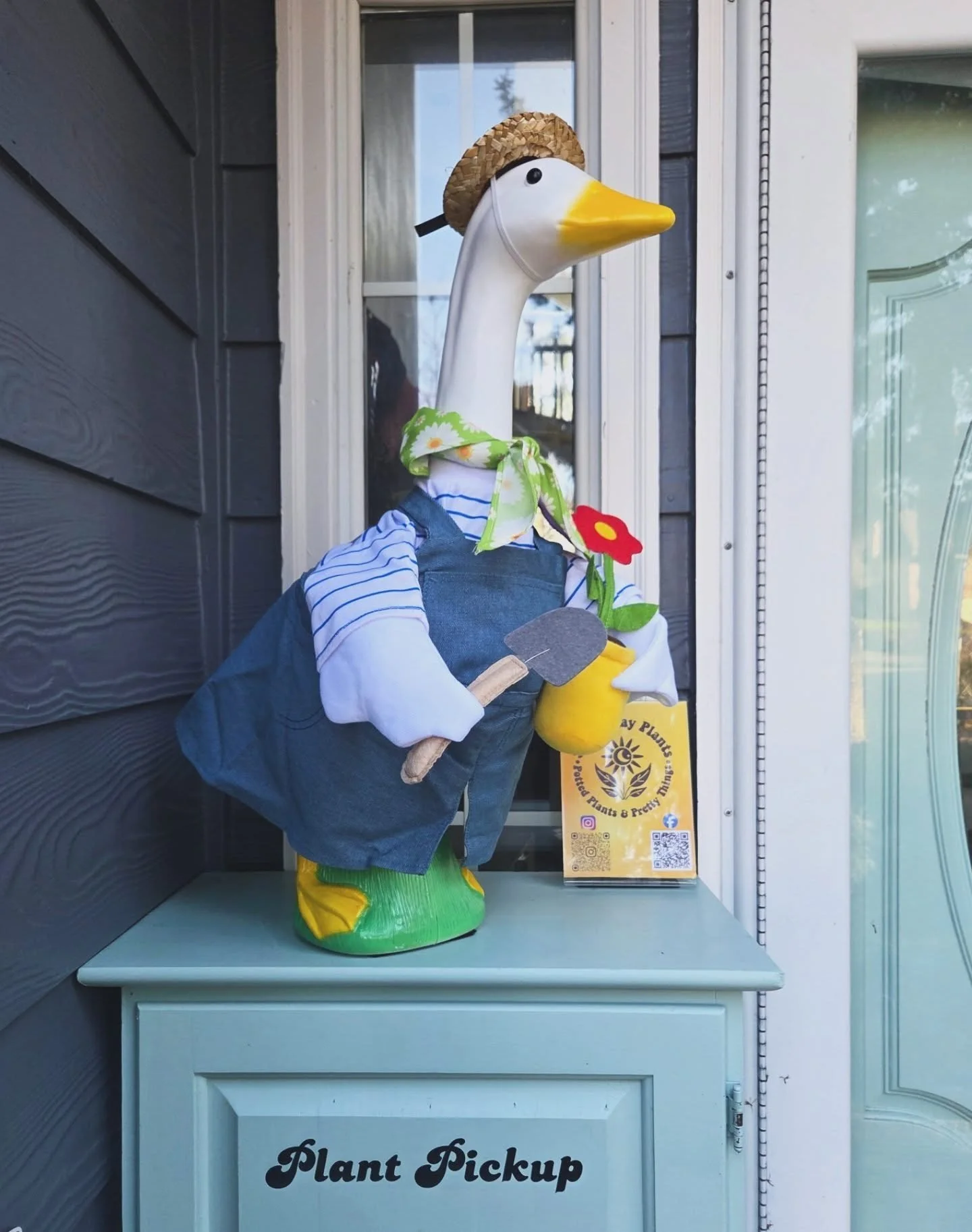 Introducing 🌼🪿𝑷𝒆𝒂𝒓𝒍 𝒕𝒉𝒆 𝑷𝒐𝒓𝒄𝒉 𝑮𝒐𝒐𝒔𝒆 🌼🪿 
Protector of the plant pickup cupboard at Sunny Way Plants 🌞 🪴 
#pearltheporchgoose