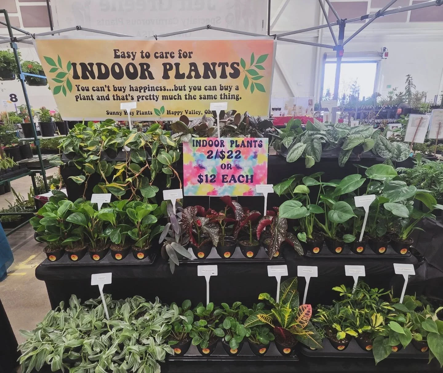 It's a beautiful day to buy some plants! First plant sale of the season 🌞 🪴