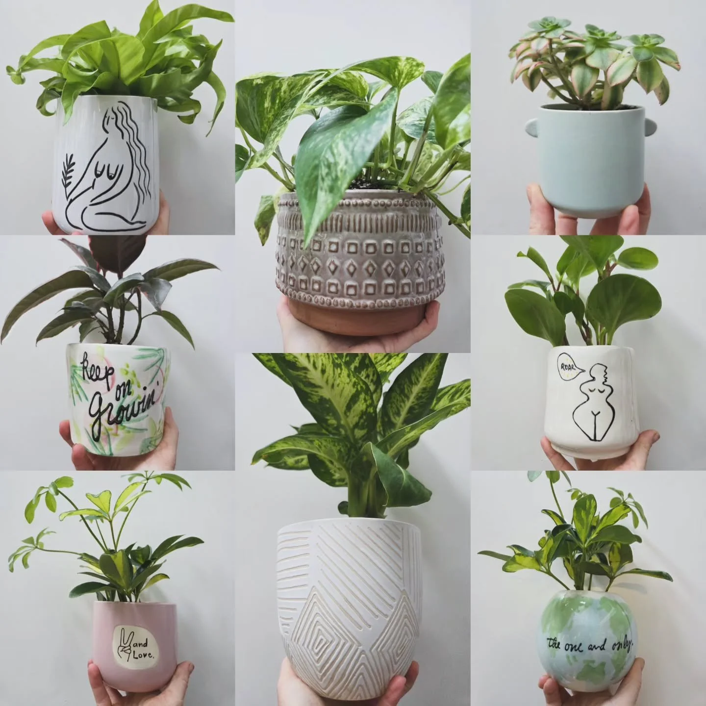 New pots 🤩🤩
Which one is your fav? 🪴 🌿
