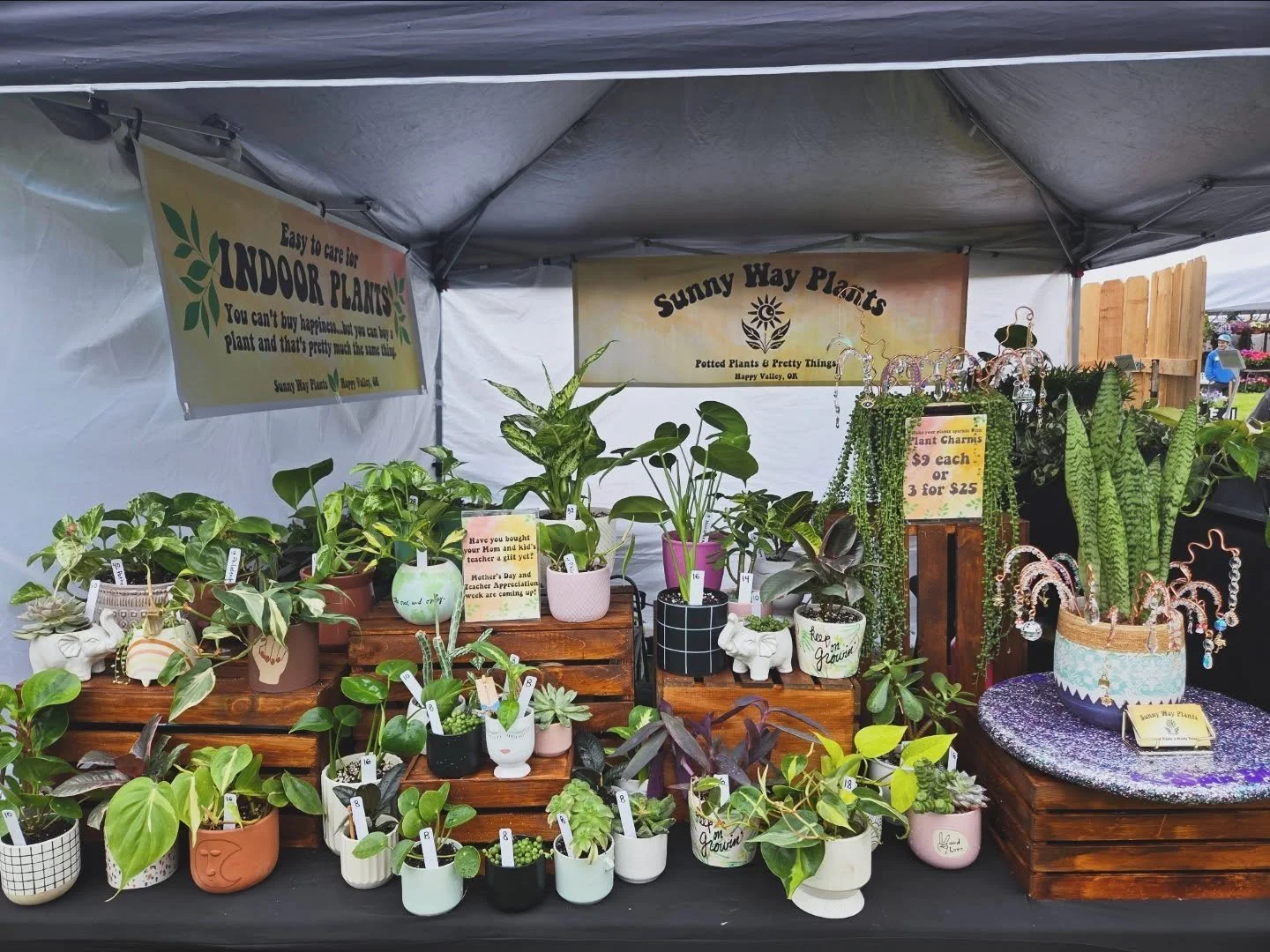 Here we gooooooo! So many amazing vendors here at @springgardenfair in Canby 🪴 🌱 🌿