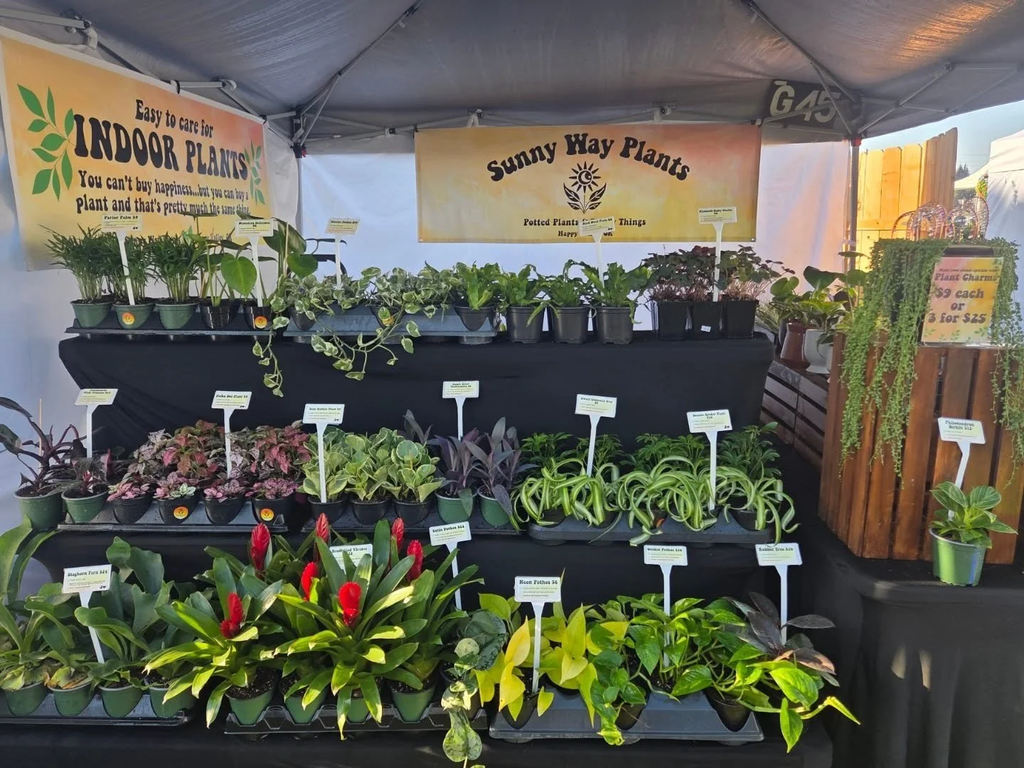 Day ✌️ here we go! 
@springgardenfair