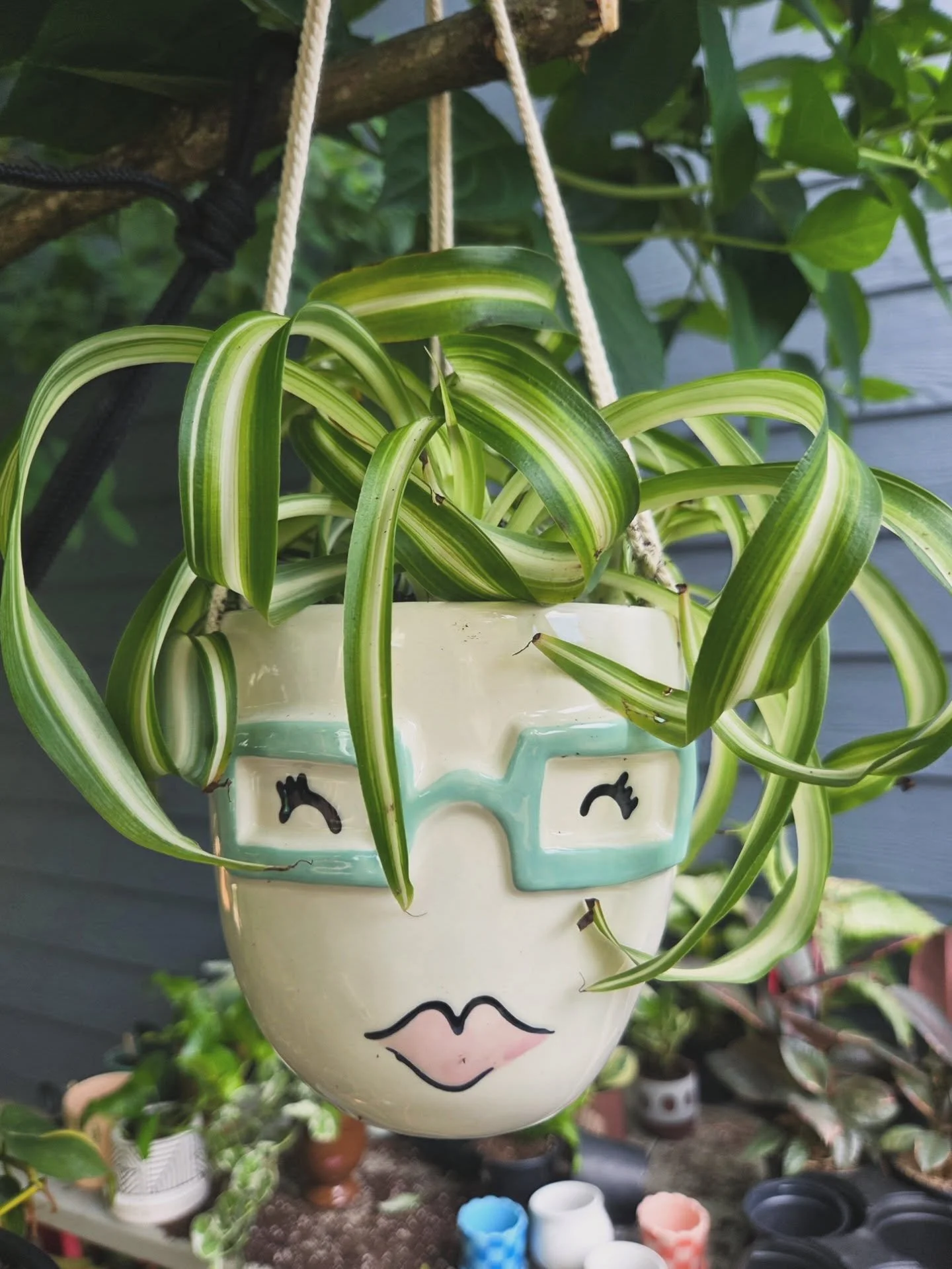 Fresh new do 🌿