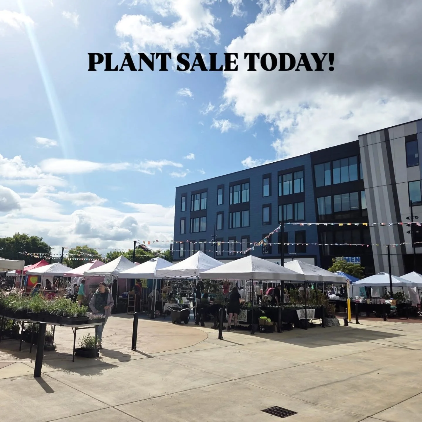 📢 CALLING ALL PLANT LOVERS‼️Join me, and more than 75 plant vendors, at Rockwood Market Hall. We're here until 4pm 🪴 🌿 🪴