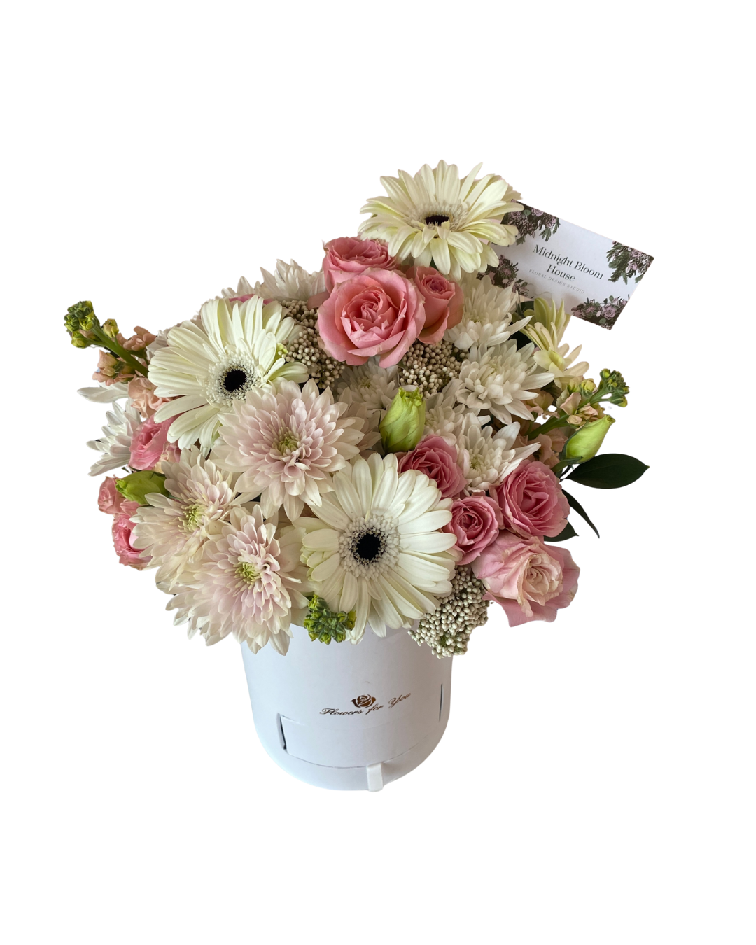 Untitled design (7).png