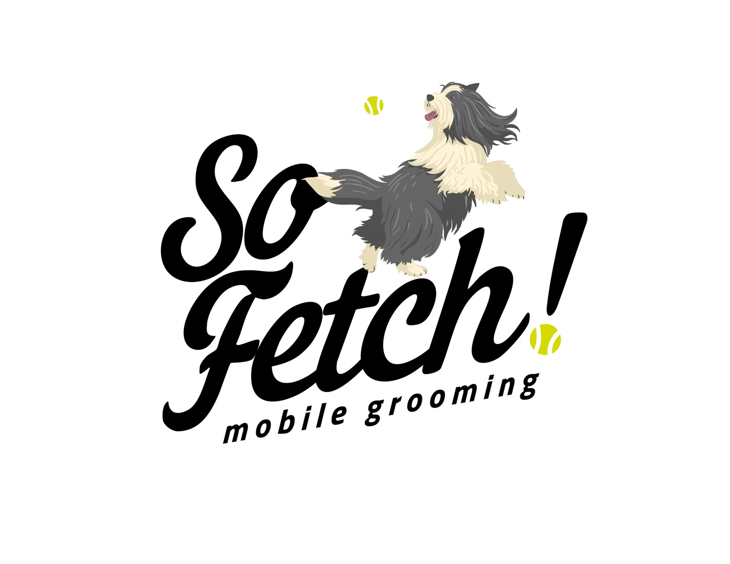 So Fetch! Mobile Grooming