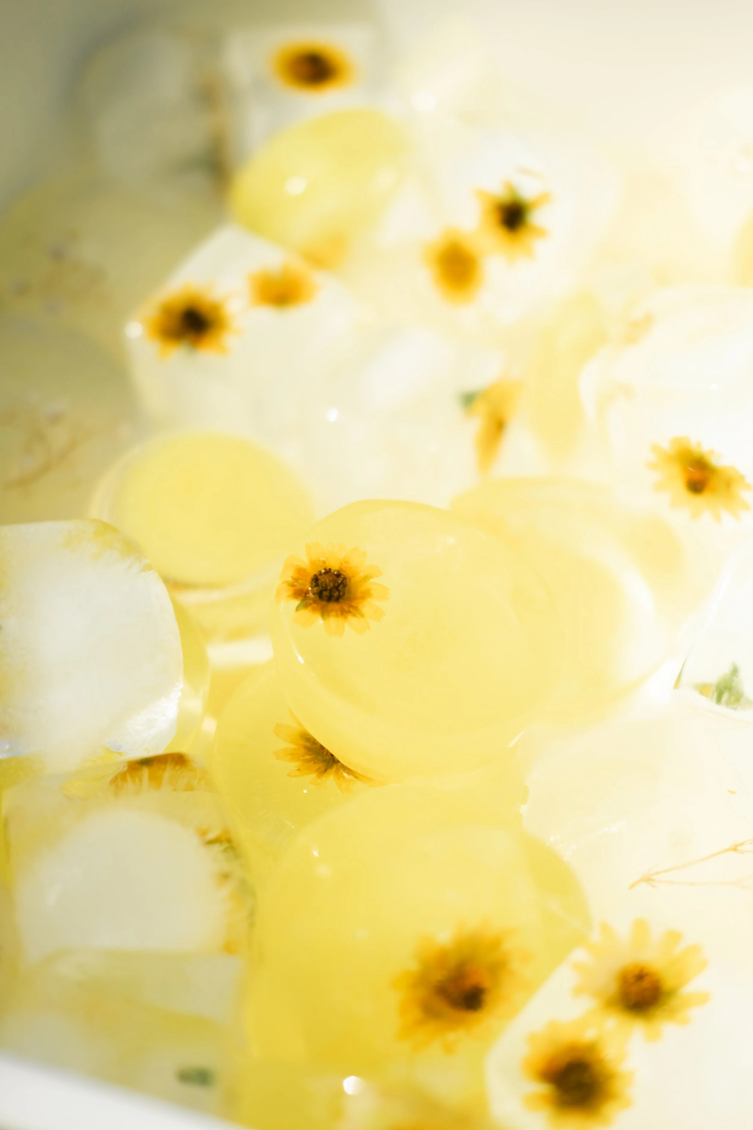 Yellow lemon slices with small yellow and brown flowers floating on water.