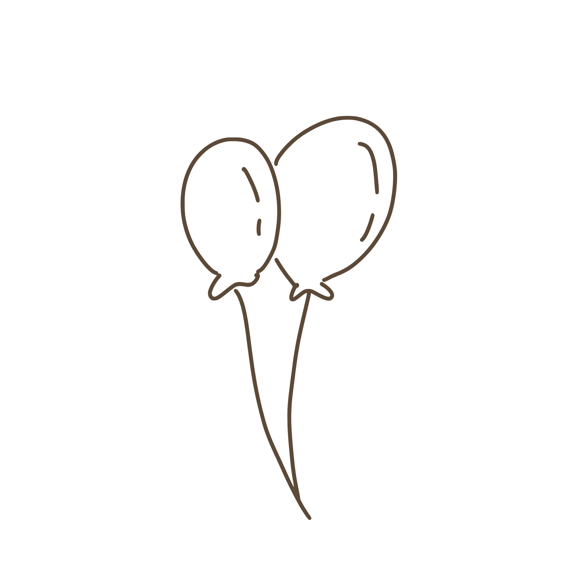 Line drawing of two balloons on strings, outlined in brown.