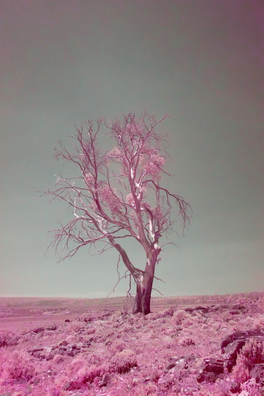 Solitude