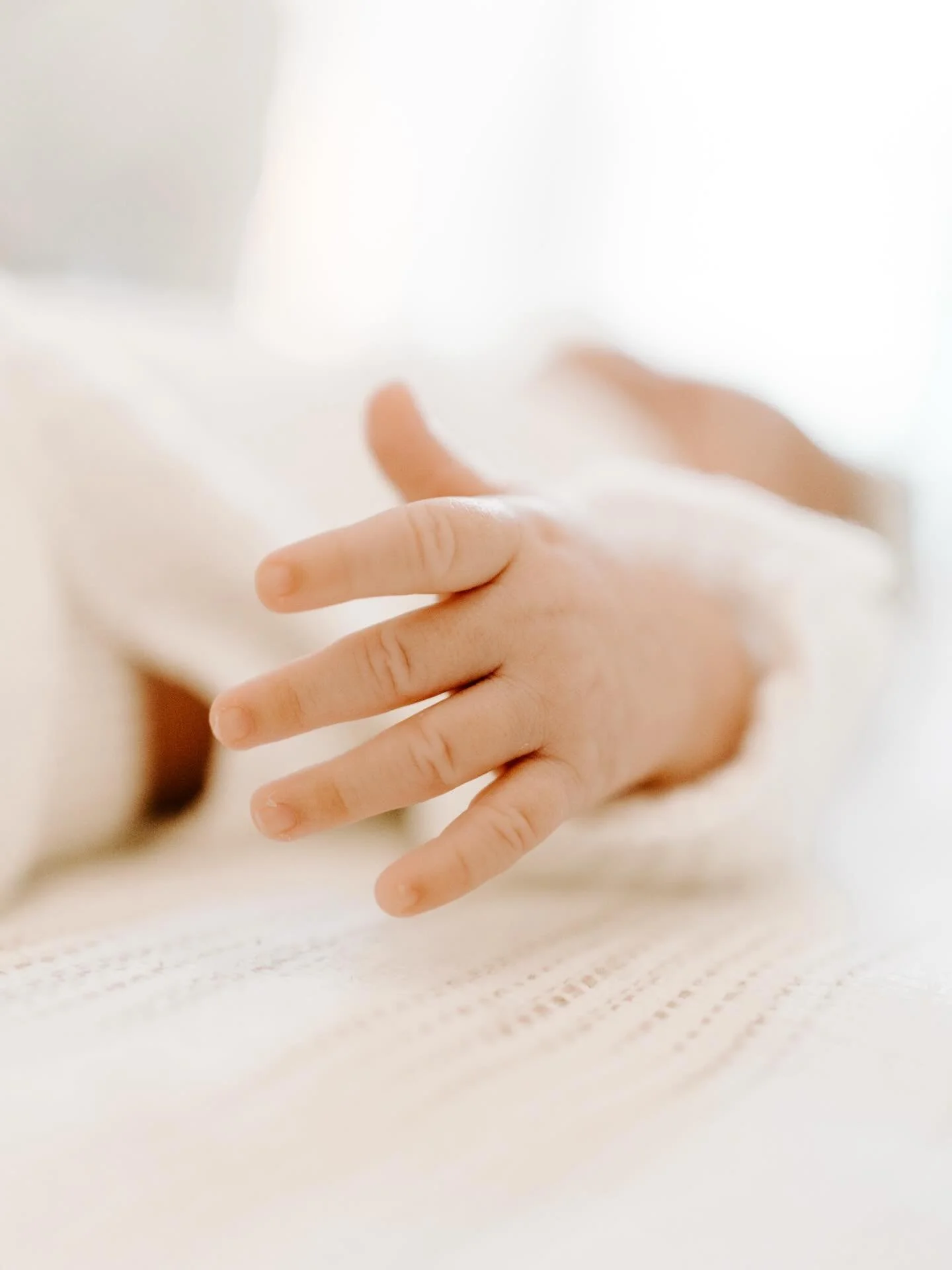 Tiny little details ✨