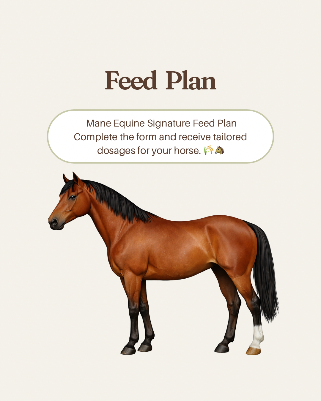Mane Equine Feed Plan