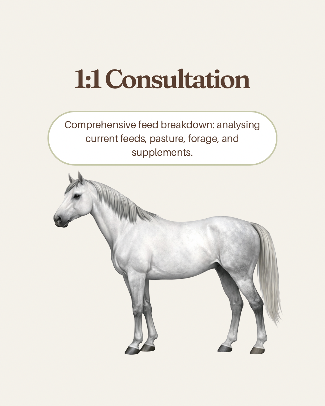 Diet Analysis & Feed Plan