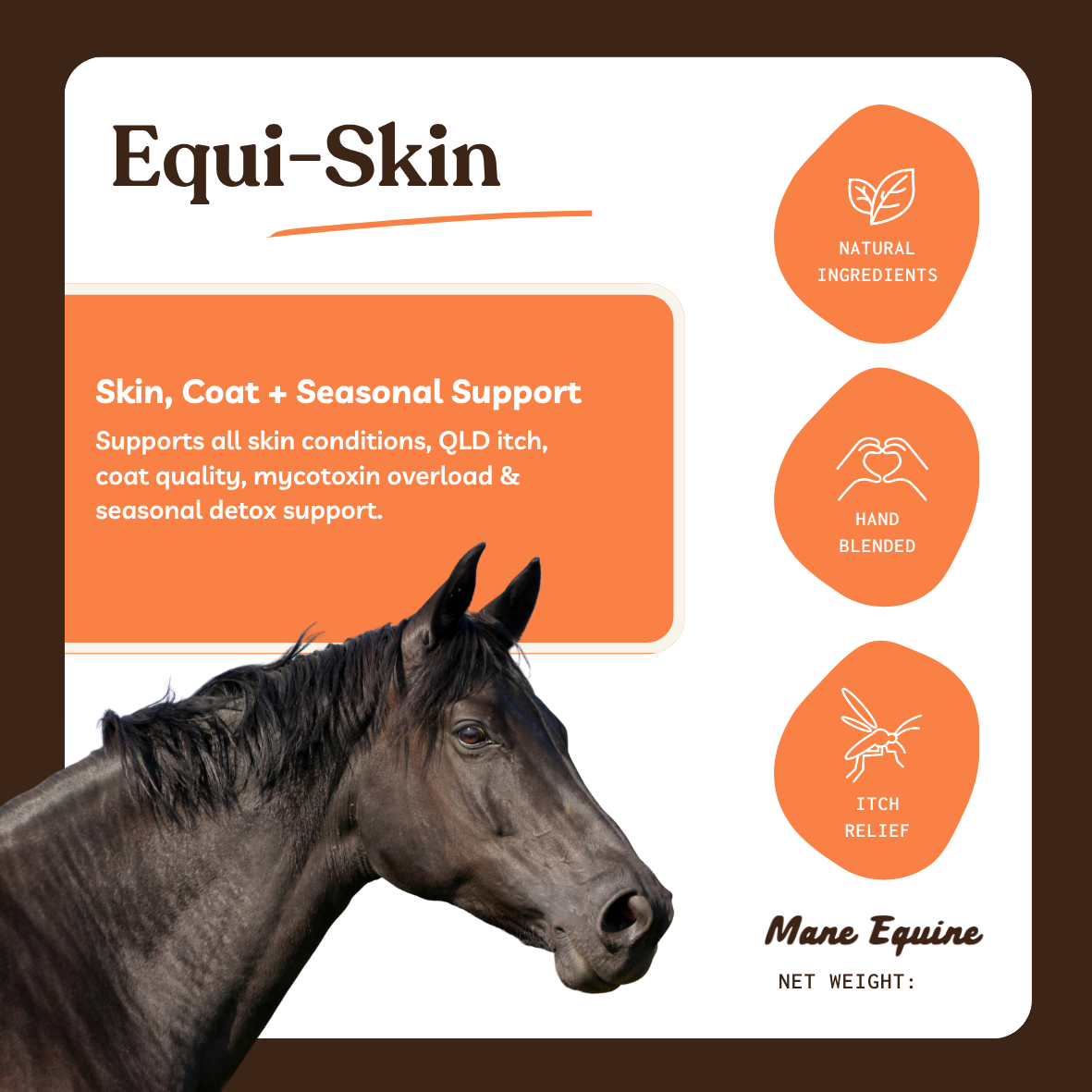 Equi-Skin Front.png