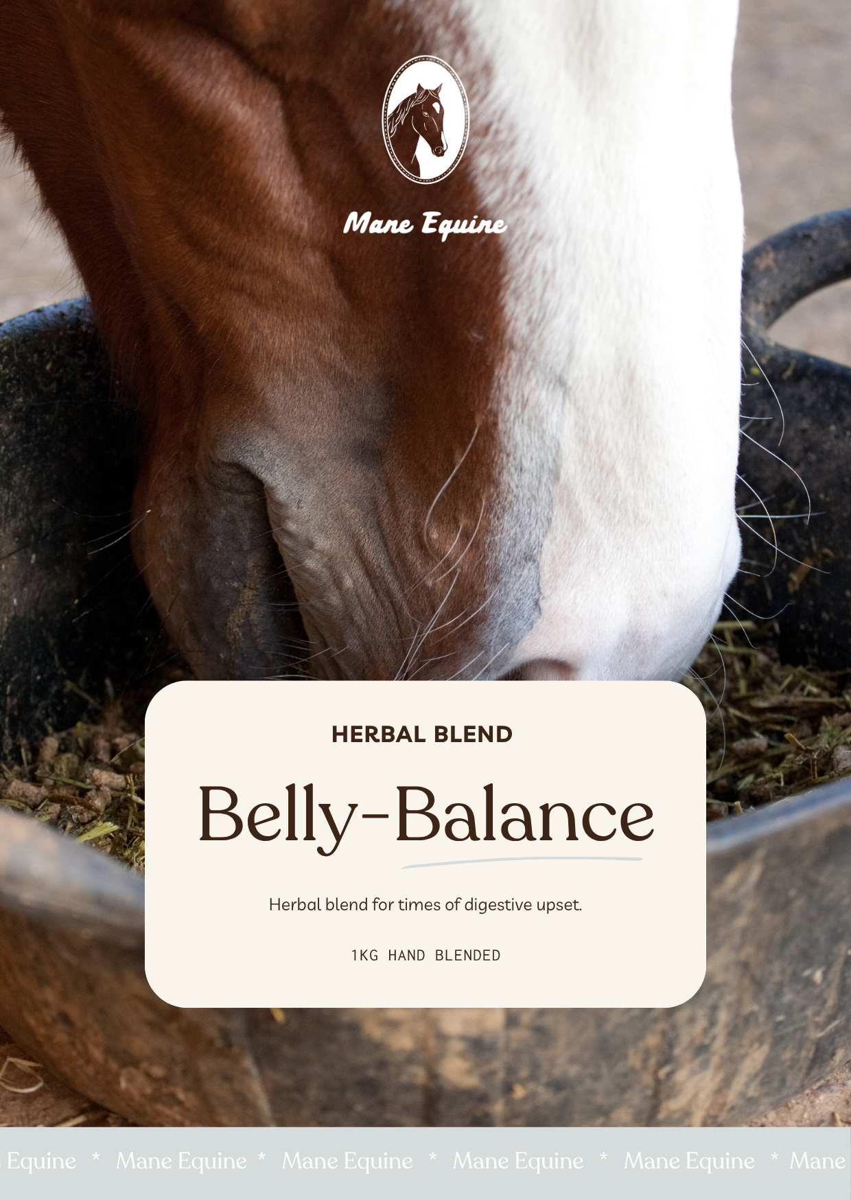 Belly-Balance Blend Flyer.png