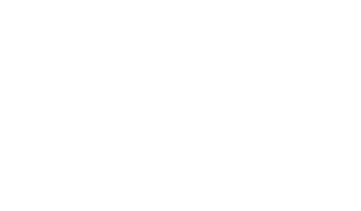 The Grey Owls