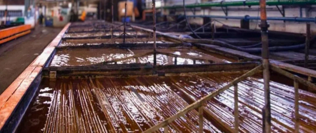 Vegetable Tanning Vat Filled with Hides
