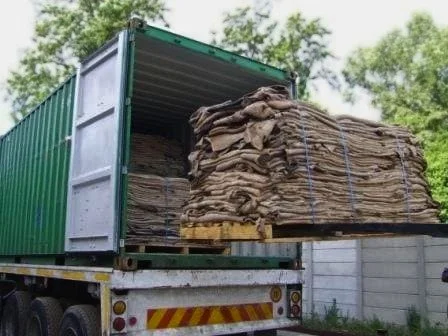 Wet Salted Hides Being loaded for Transport