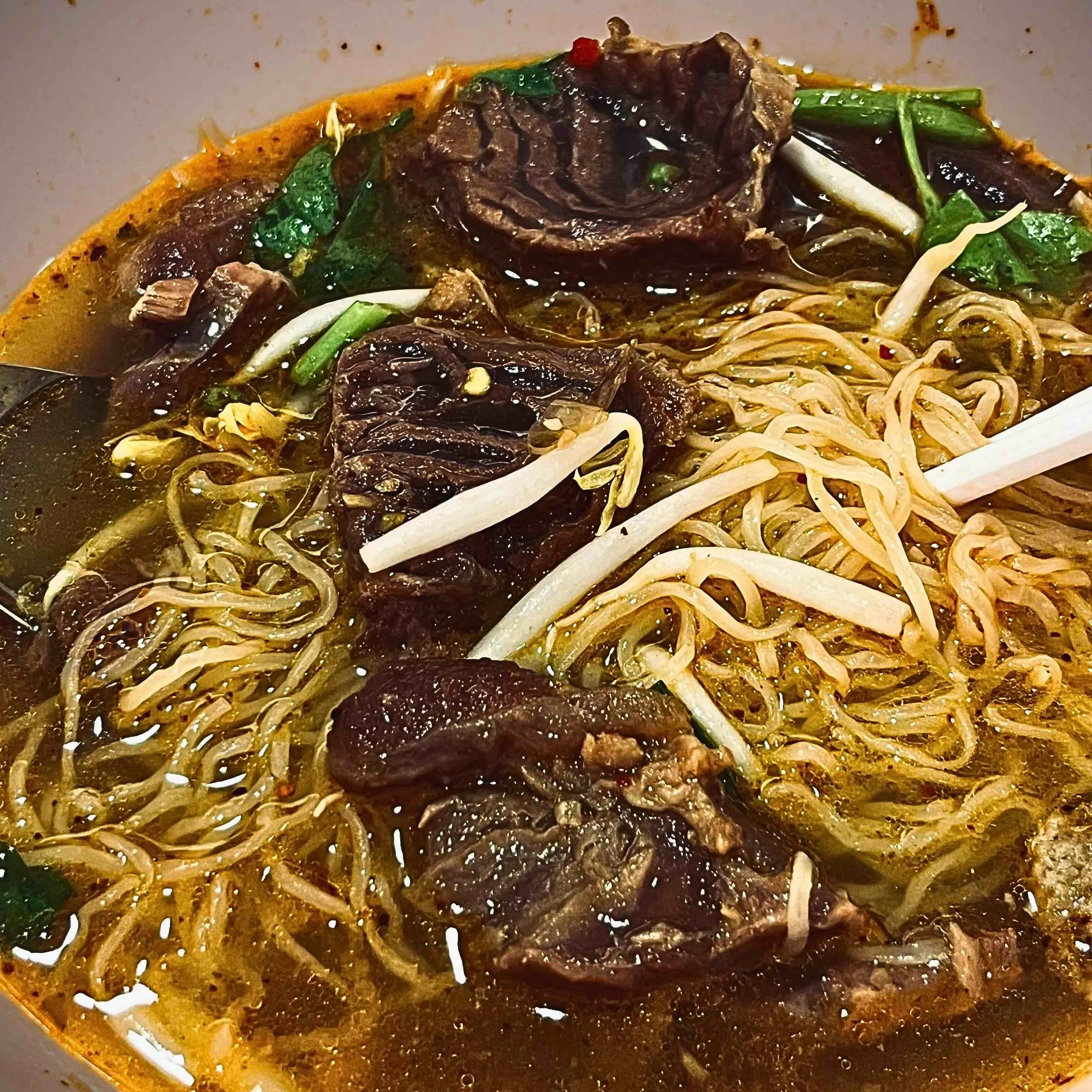 Beef Tendon Soup.jpeg