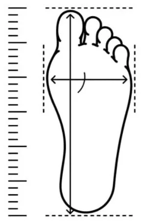 Foot Measurements Image