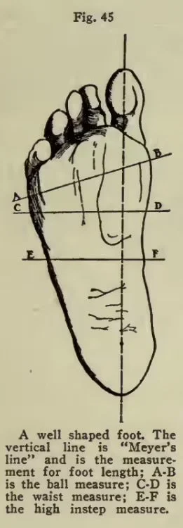 Figure about how a foot is measured