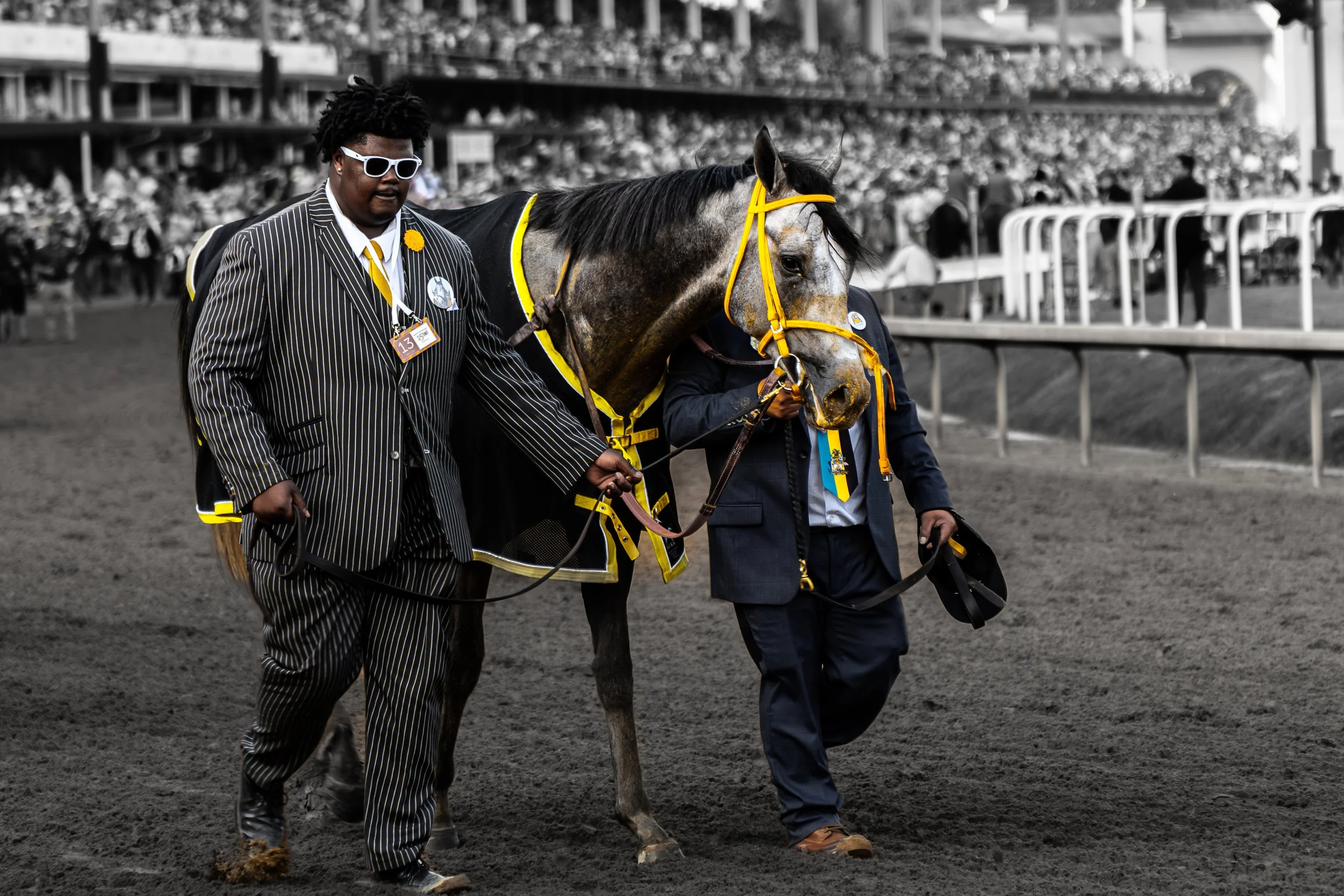 DSC03696-Enhanced-NR copy.jpg