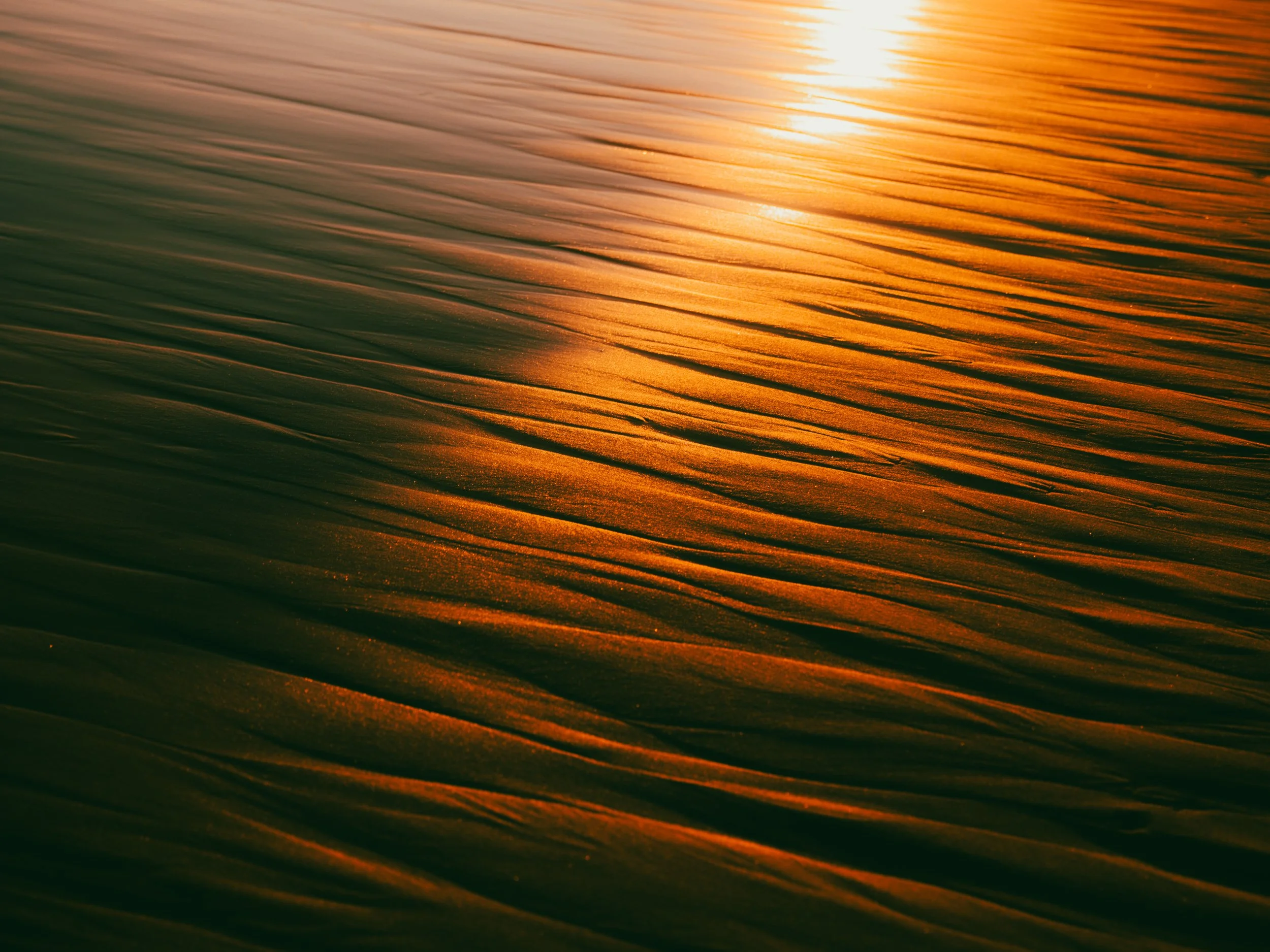 “Golden Silence”