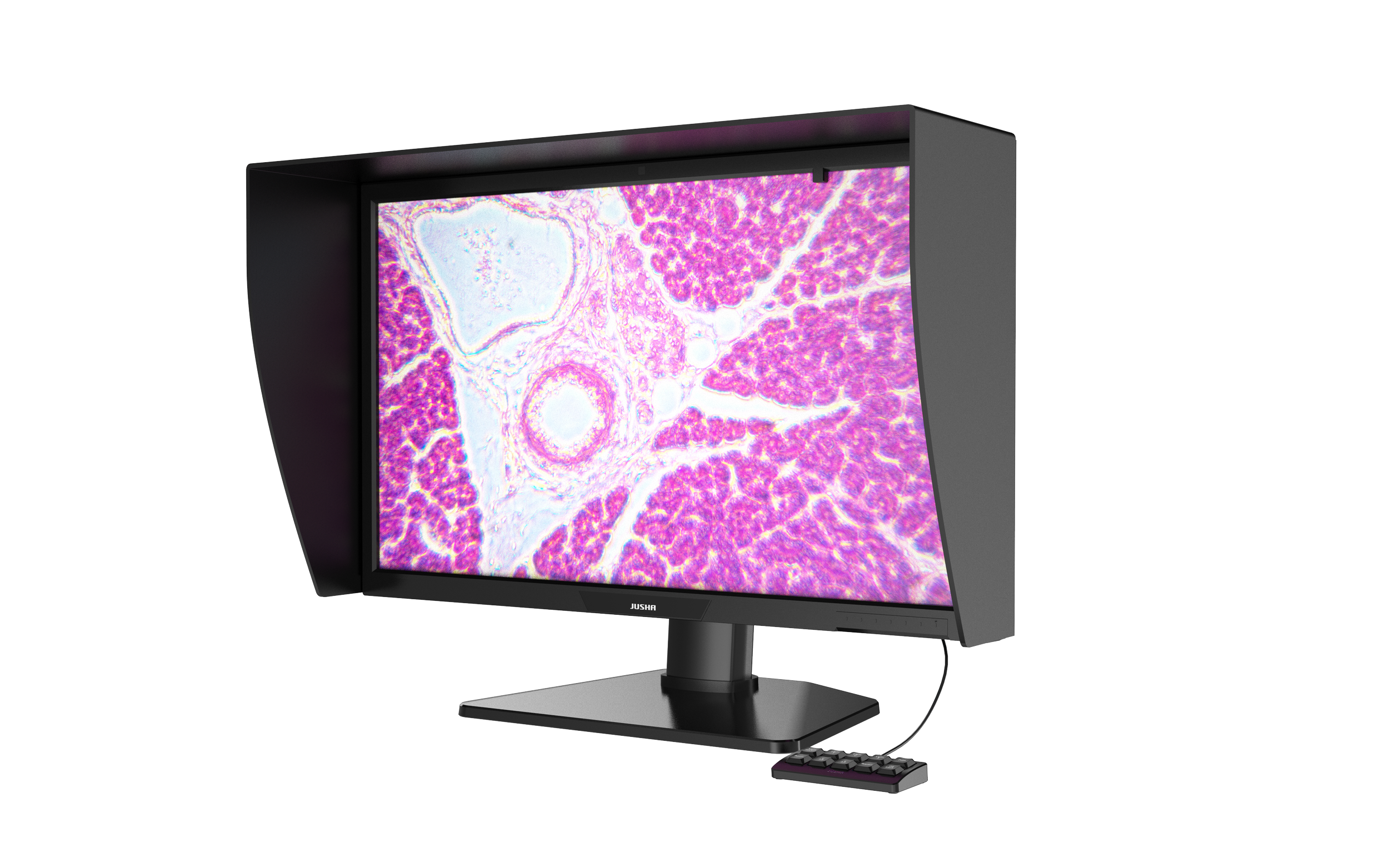 PA8132G_10.png