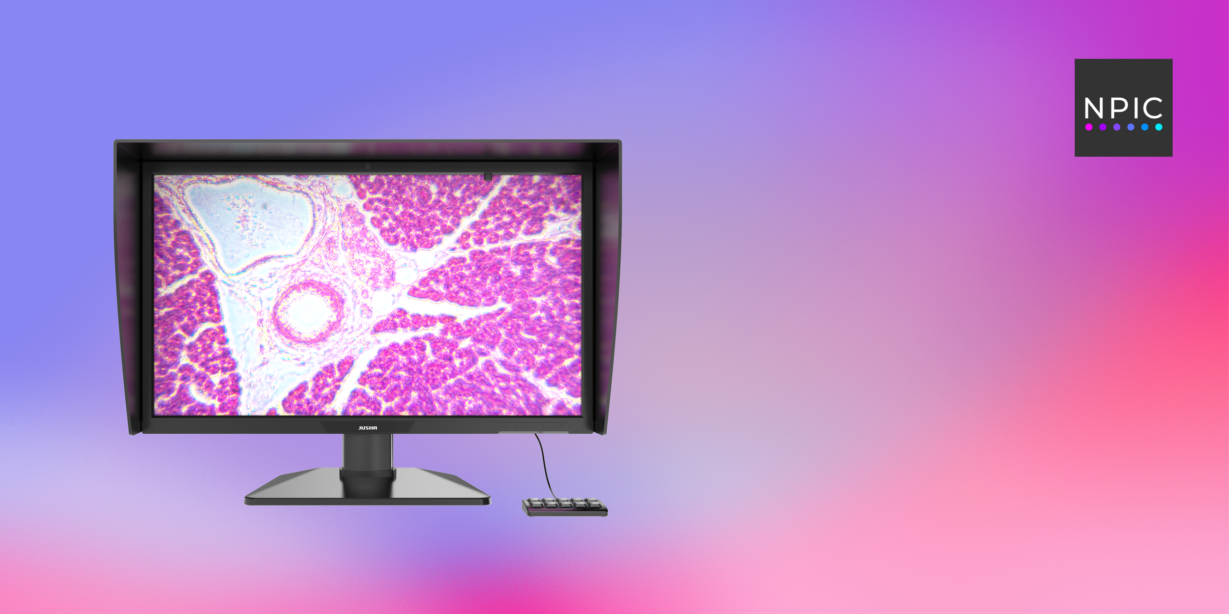 Computer monitor displaying a colorful microscopic image of biological tissue or cells on a blue gradient background.
