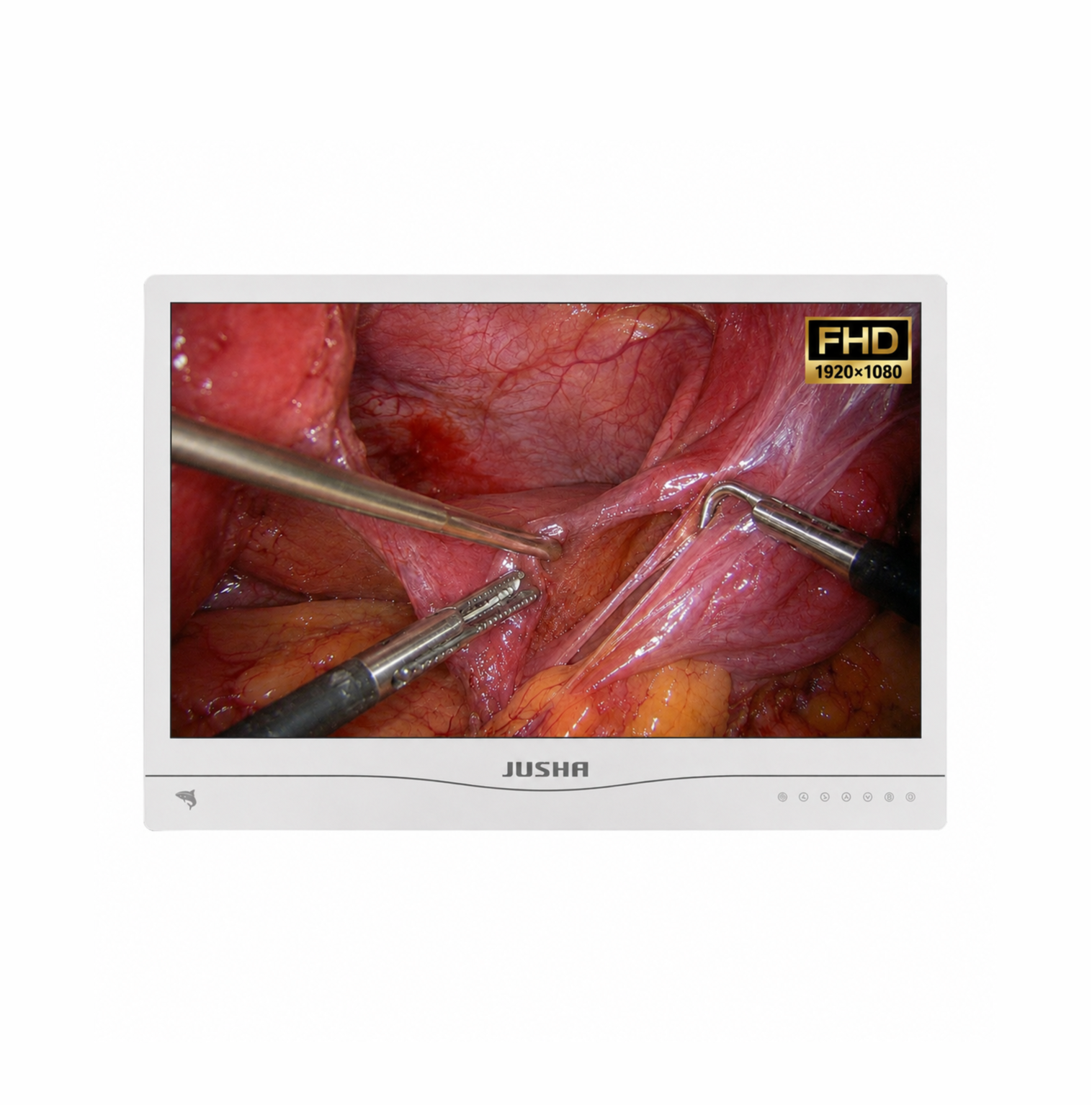 E240A1G - 24" FHD