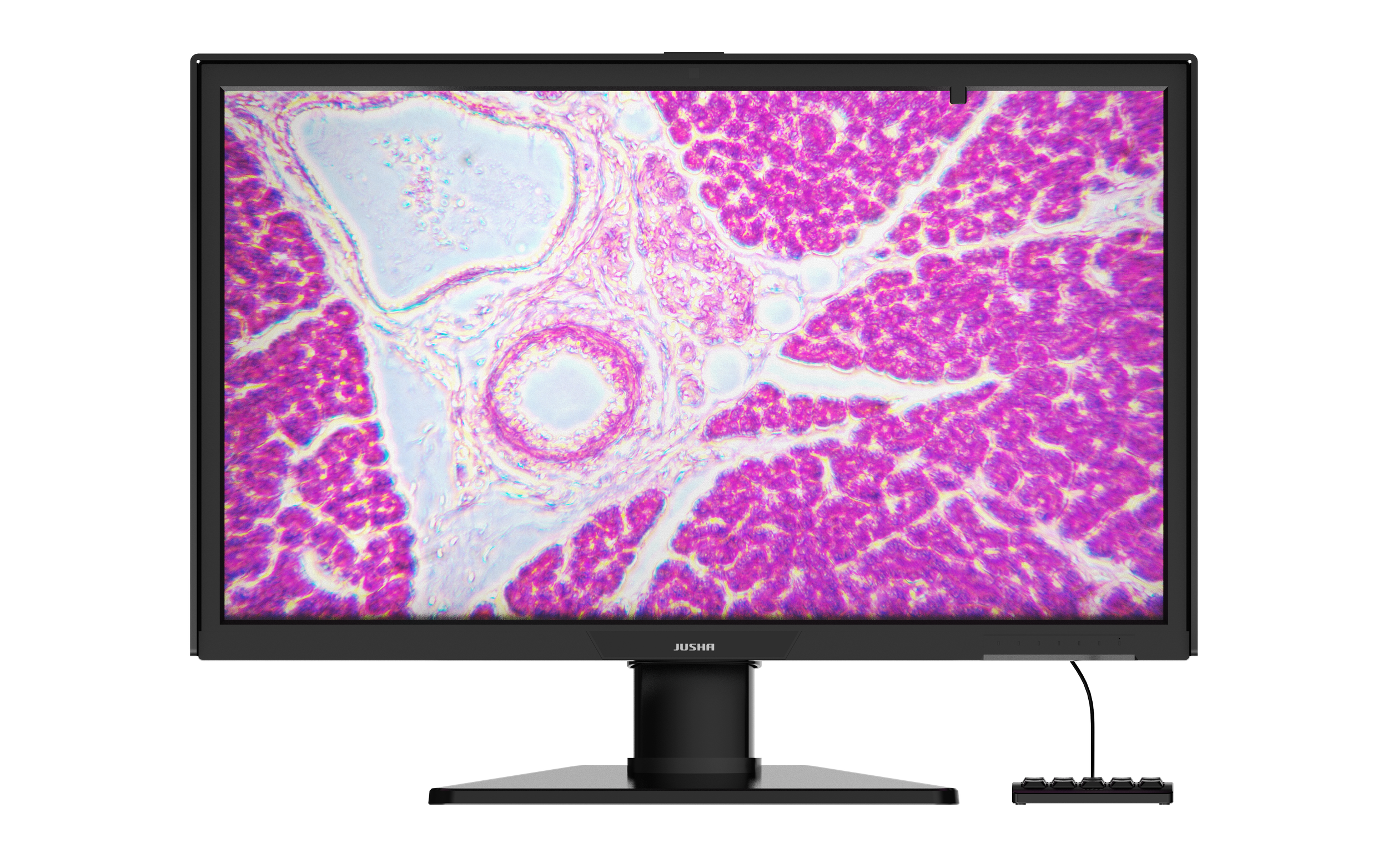 PA8132G_6.png