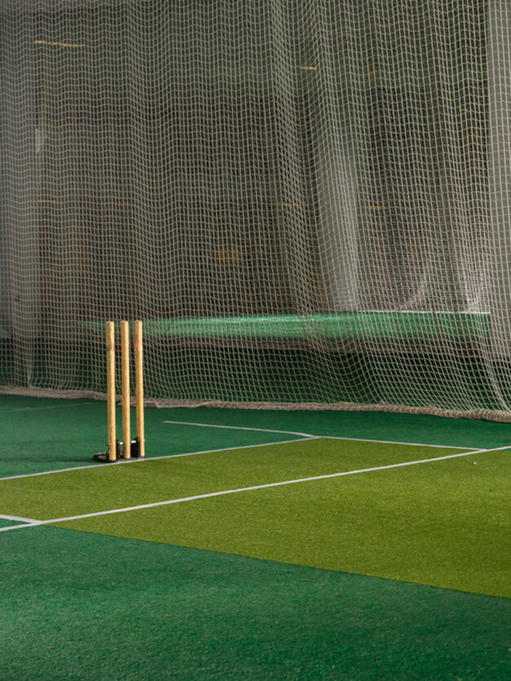 cricket.png